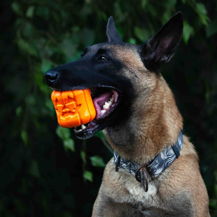 Jack O' Lantern Dog Toy Chew Toy and Treat Dispenser eDispenser
