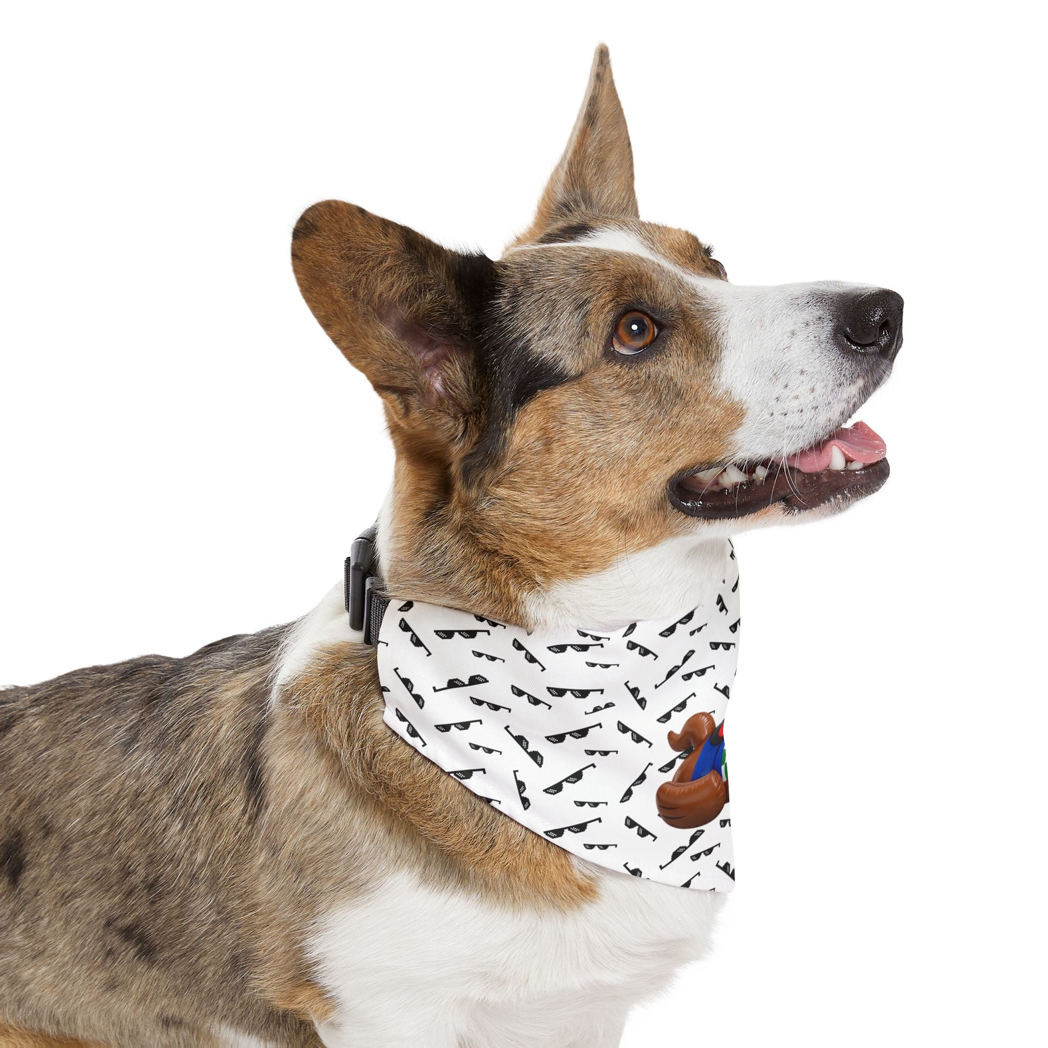 Inflatable Rubber Duck Horse with mini Wayfarers Pet Bandana Collar – Fun Equestrian Dog Accessory