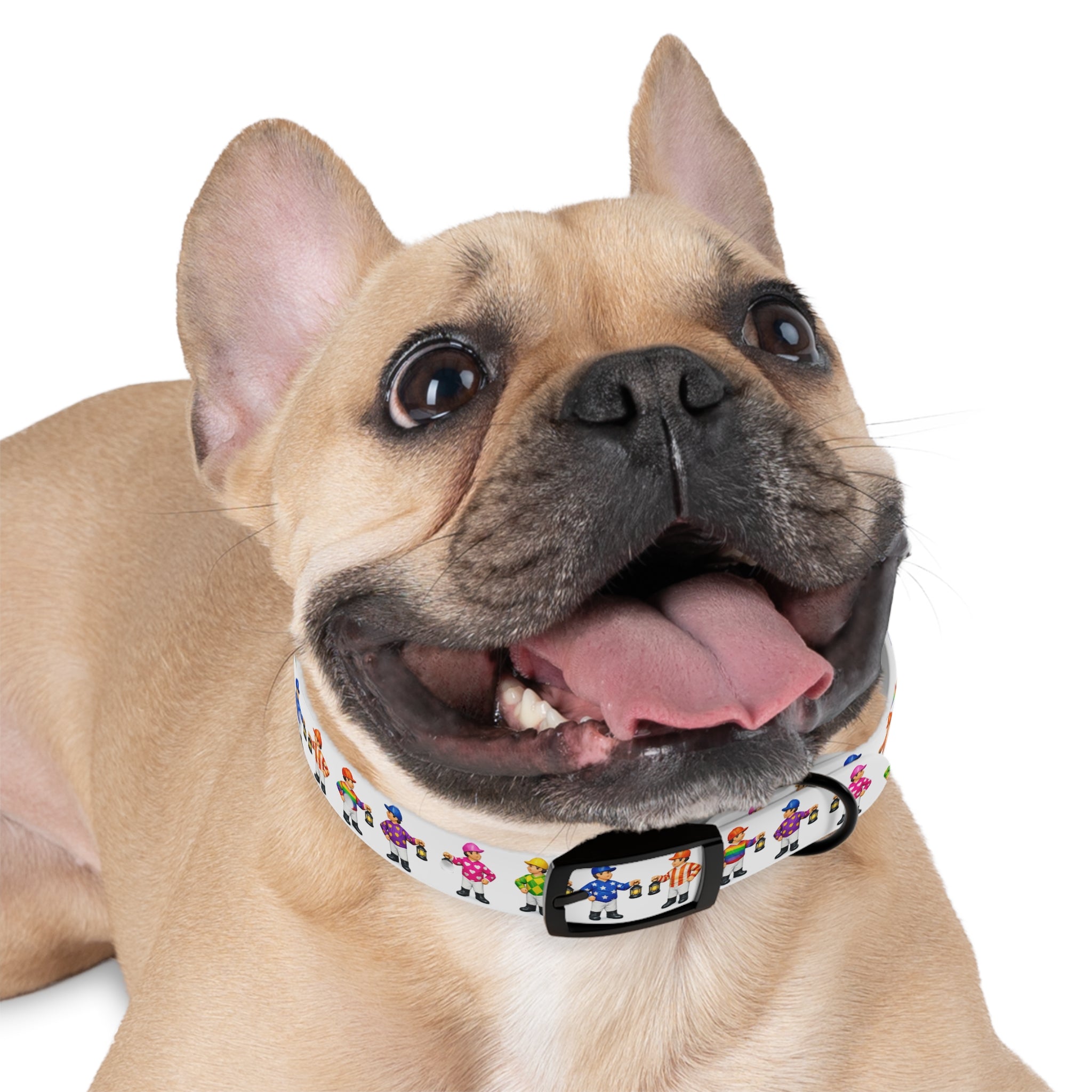Comical lawn jockey waterproof dog collar