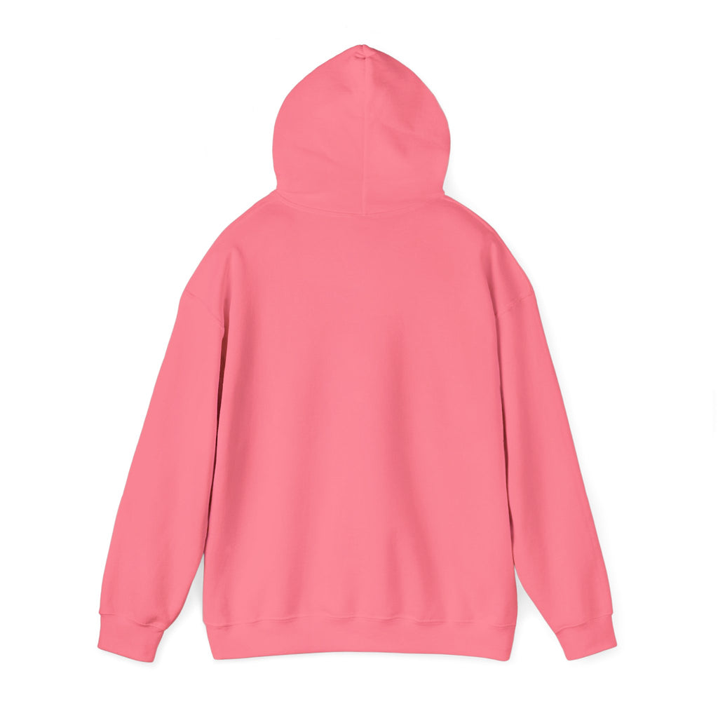 Barn Hair Society Hoodie