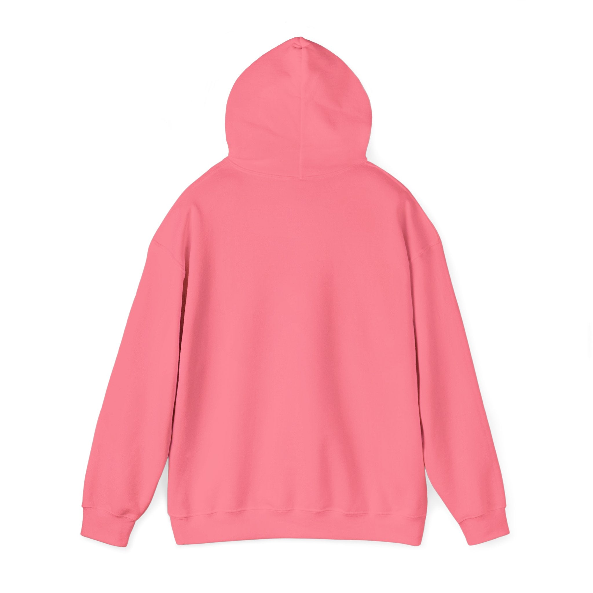 Barn Hair Society Hoodie