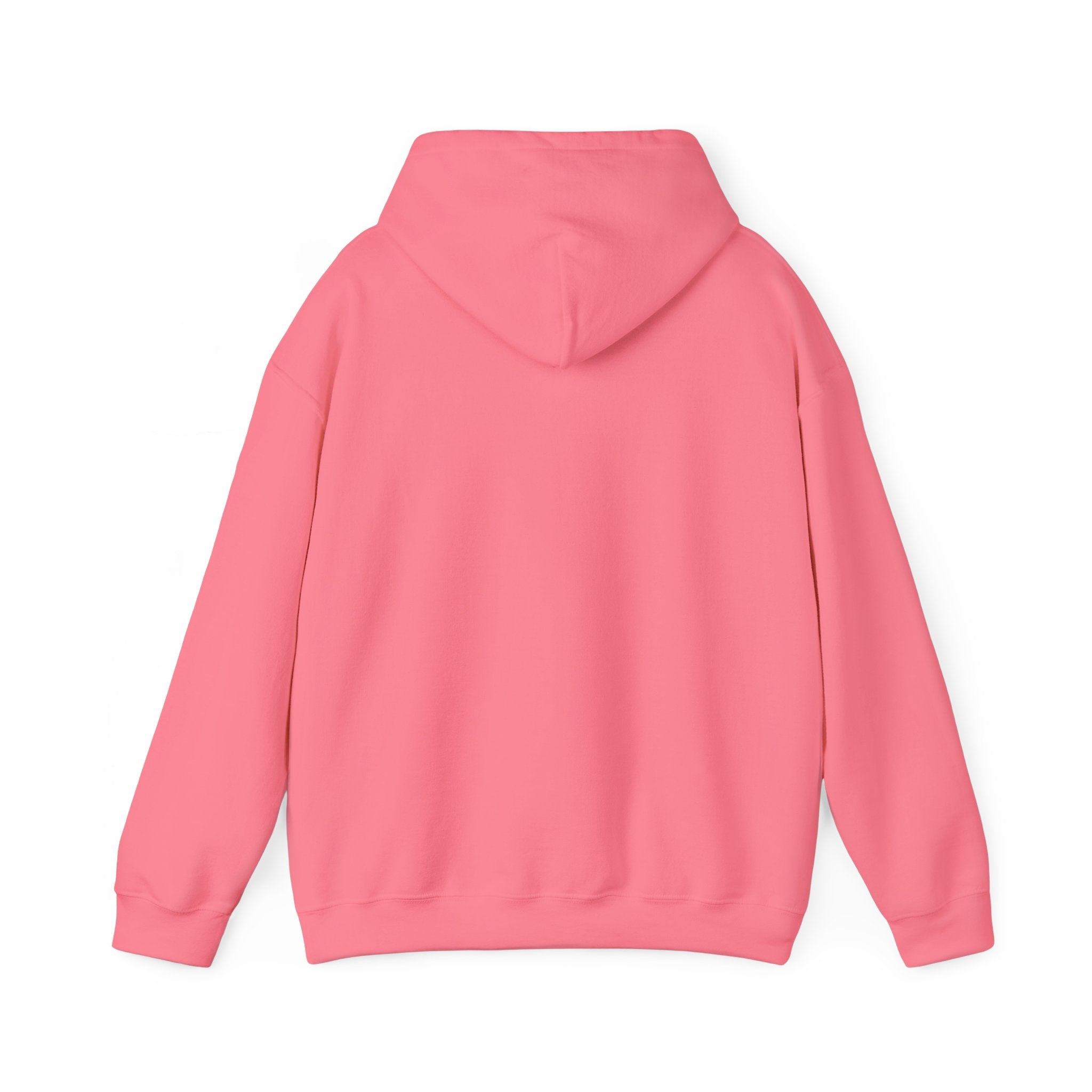 Barn Hair Society Hoodie