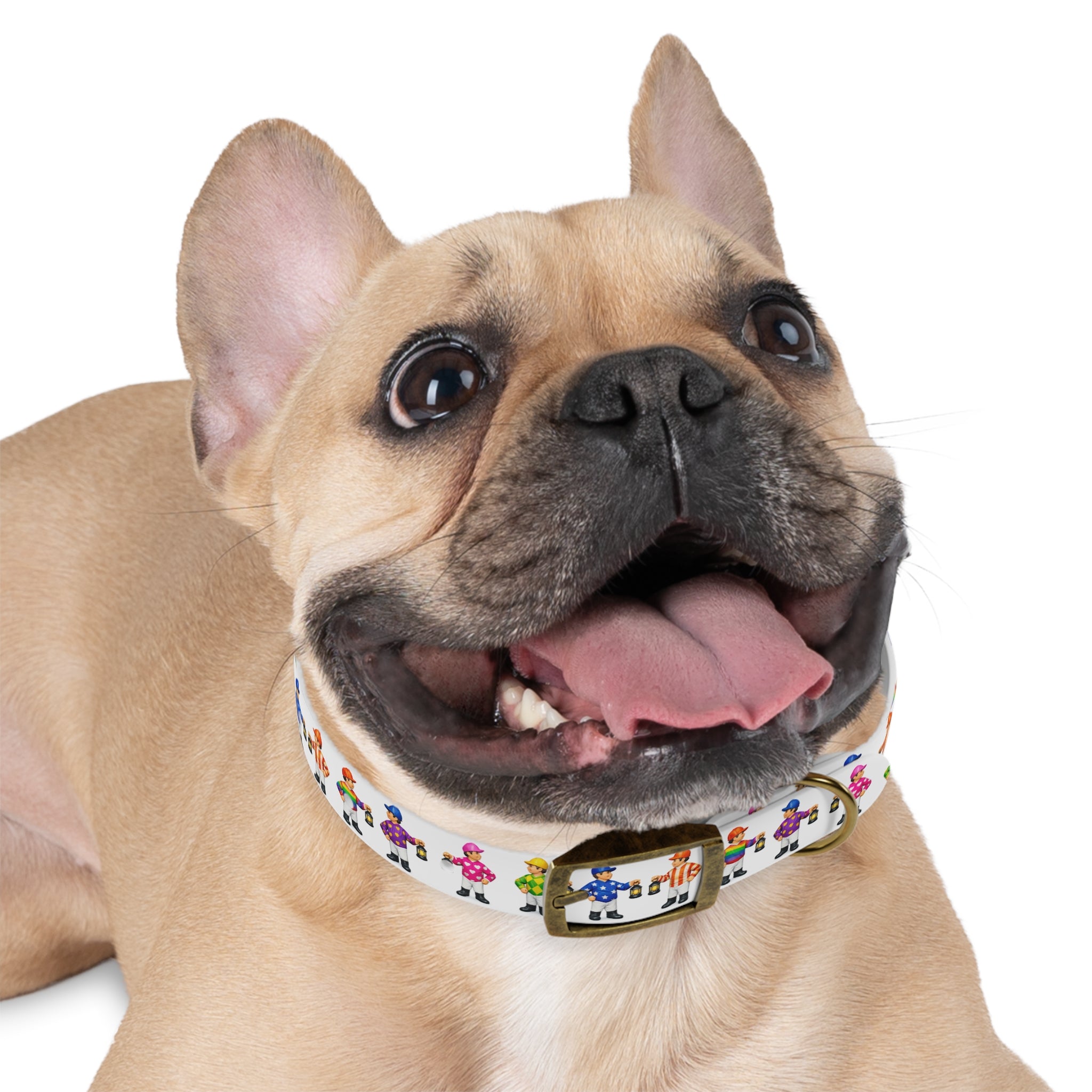 Comical lawn jockey waterproof dog collar