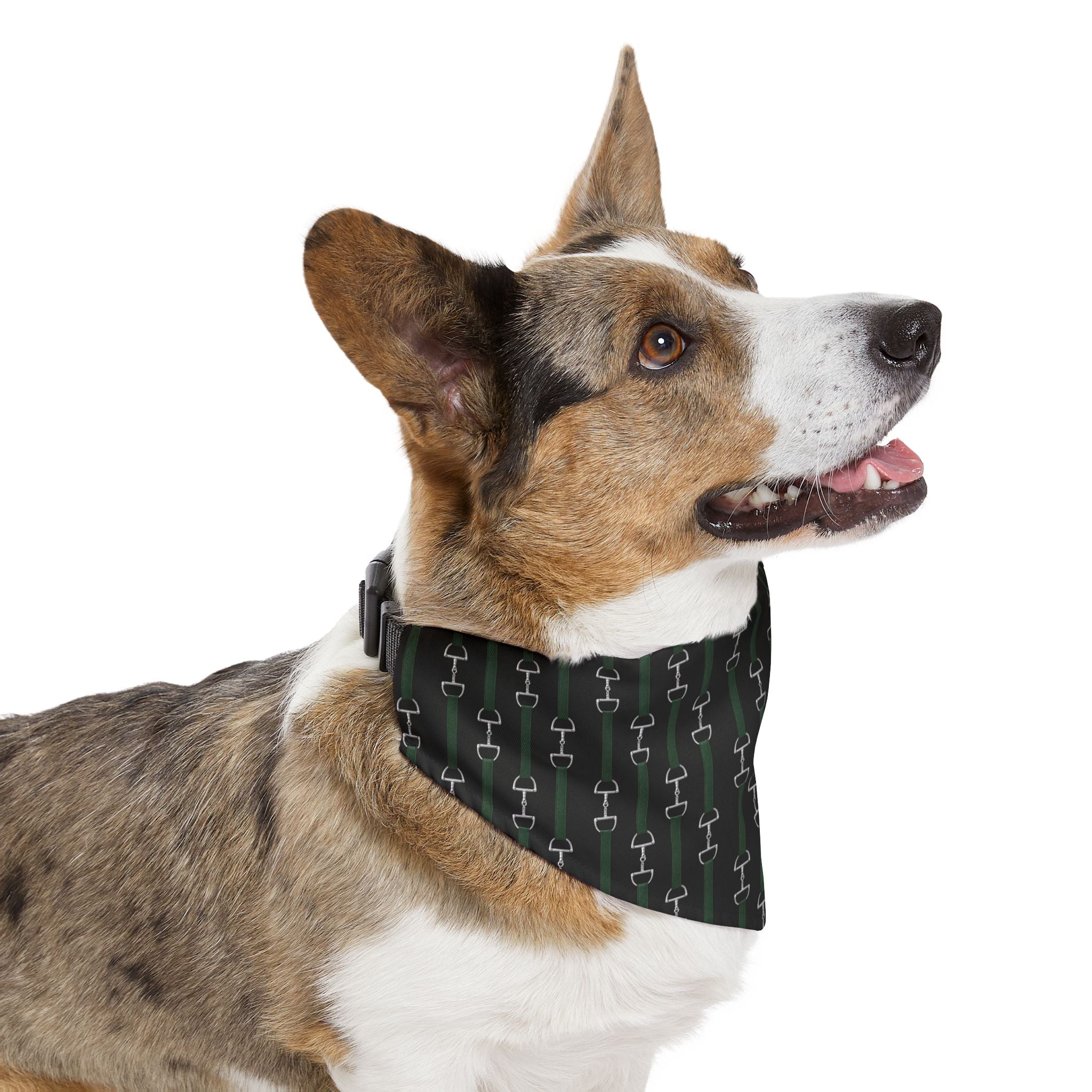 Pet Bandana Collar — Hunter Green Webbed Look Straps With Silver Horsebit Motif Pattern Dog Bandana Collar