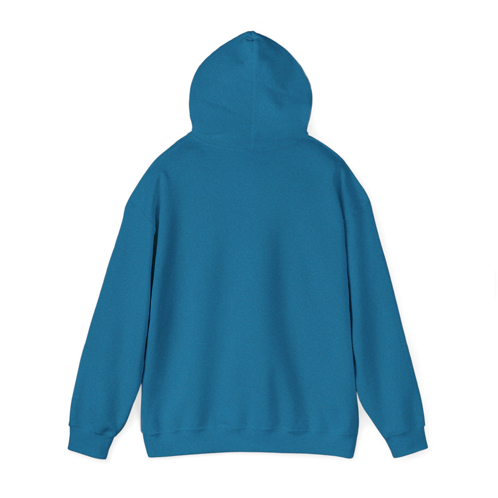 Barn Hair Society Hoodie