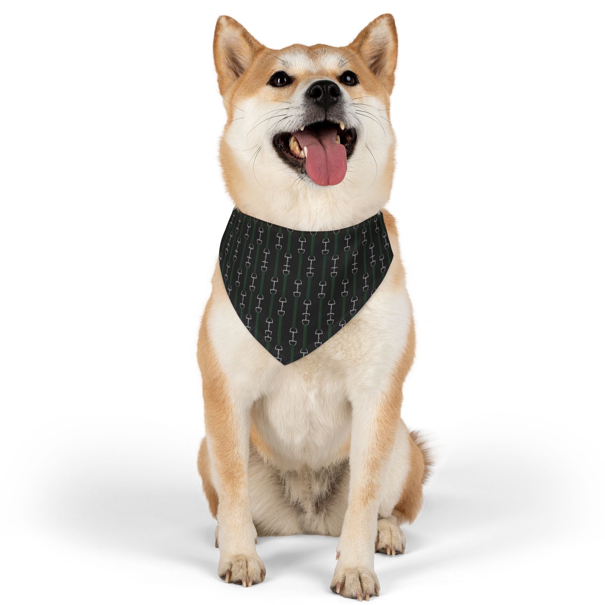 Pet Bandana Collar — Hunter Green Webbed Look Straps With Silver Horsebit Motif Pattern Dog Bandana Collar