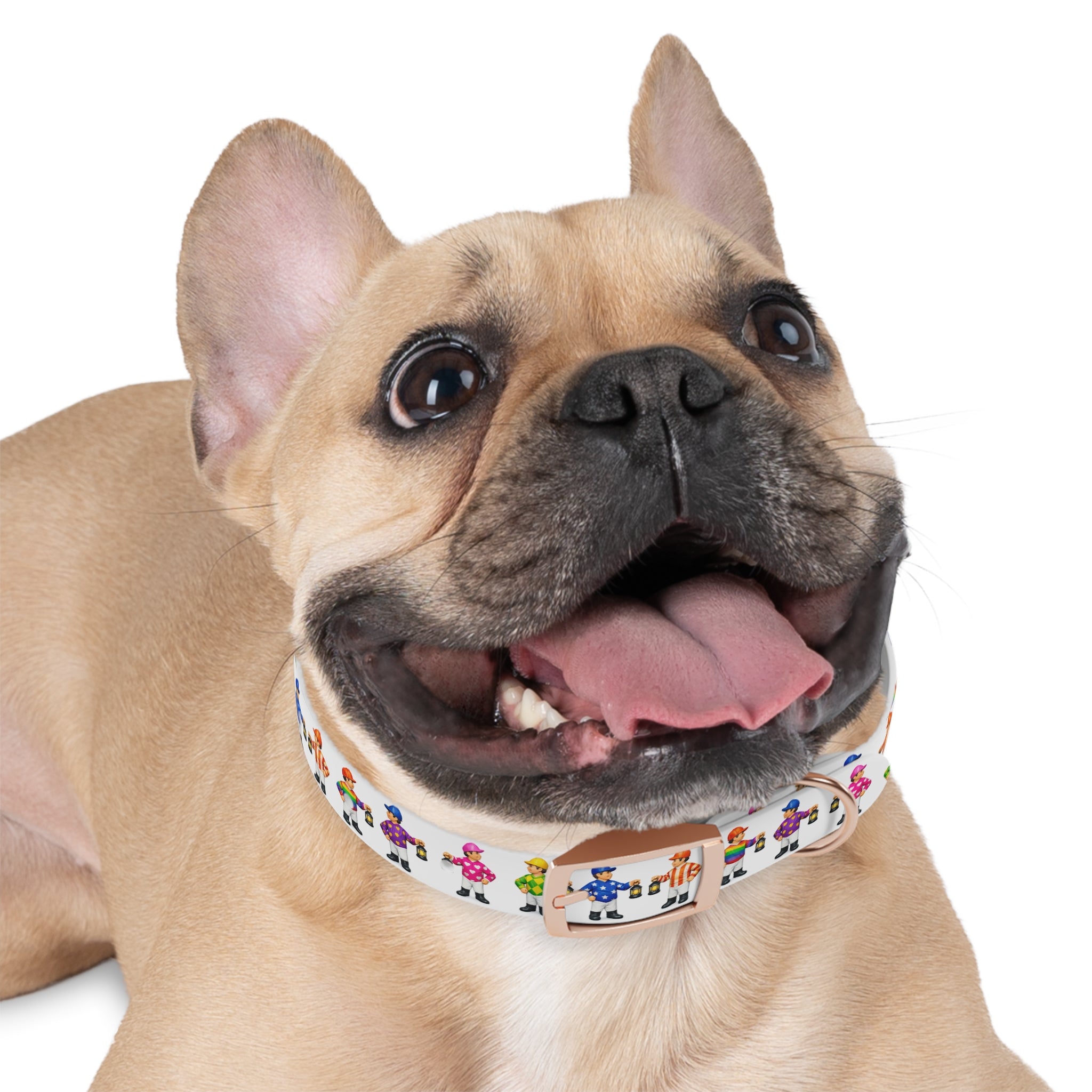 Comical lawn jockey waterproof dog collar