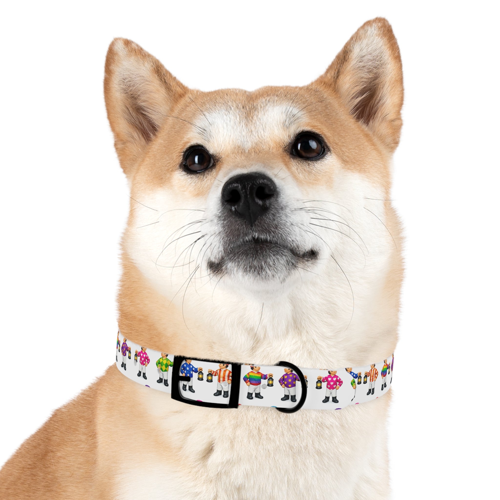 Comical lawn jockey waterproof dog collar
