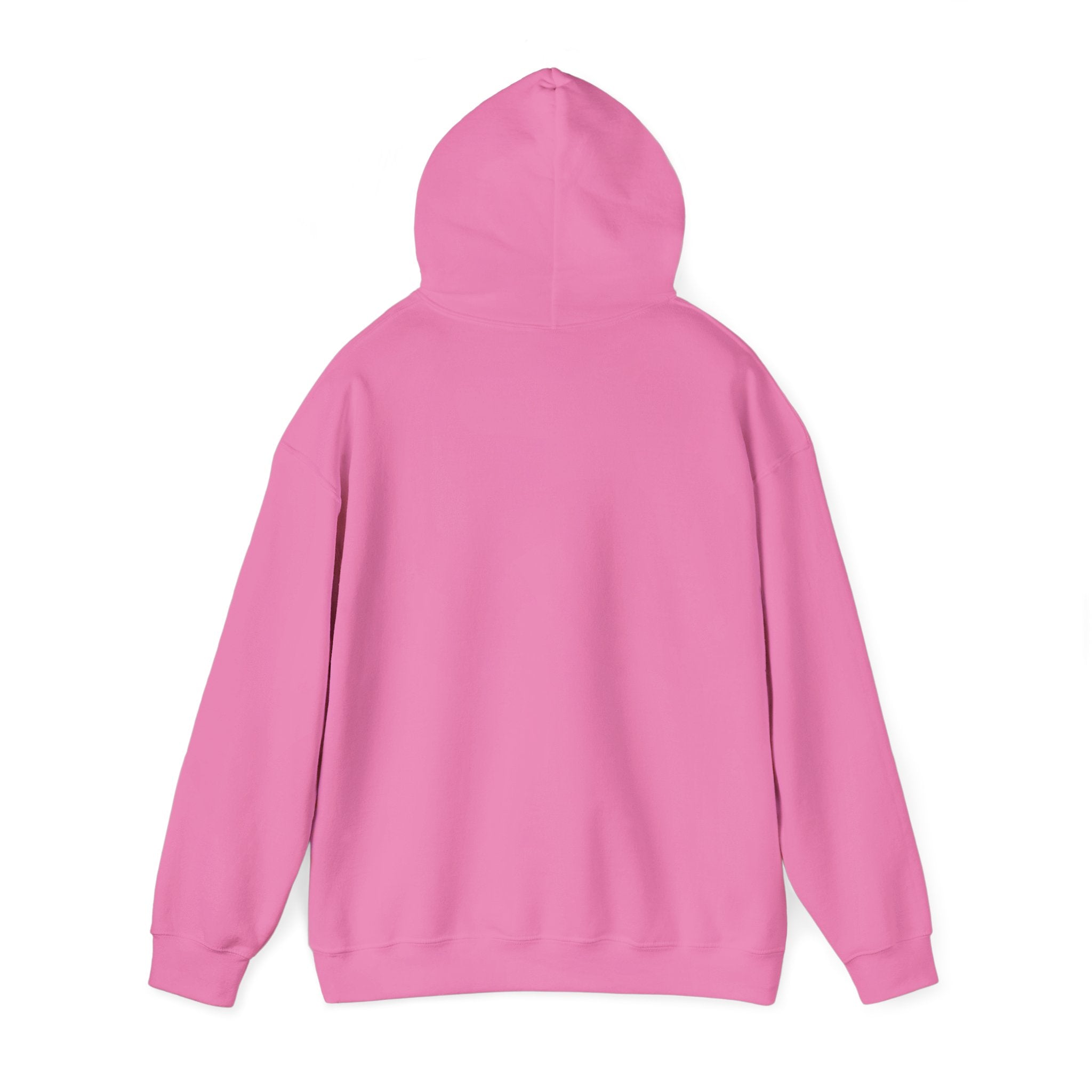 Barn Hair Society Hoodie