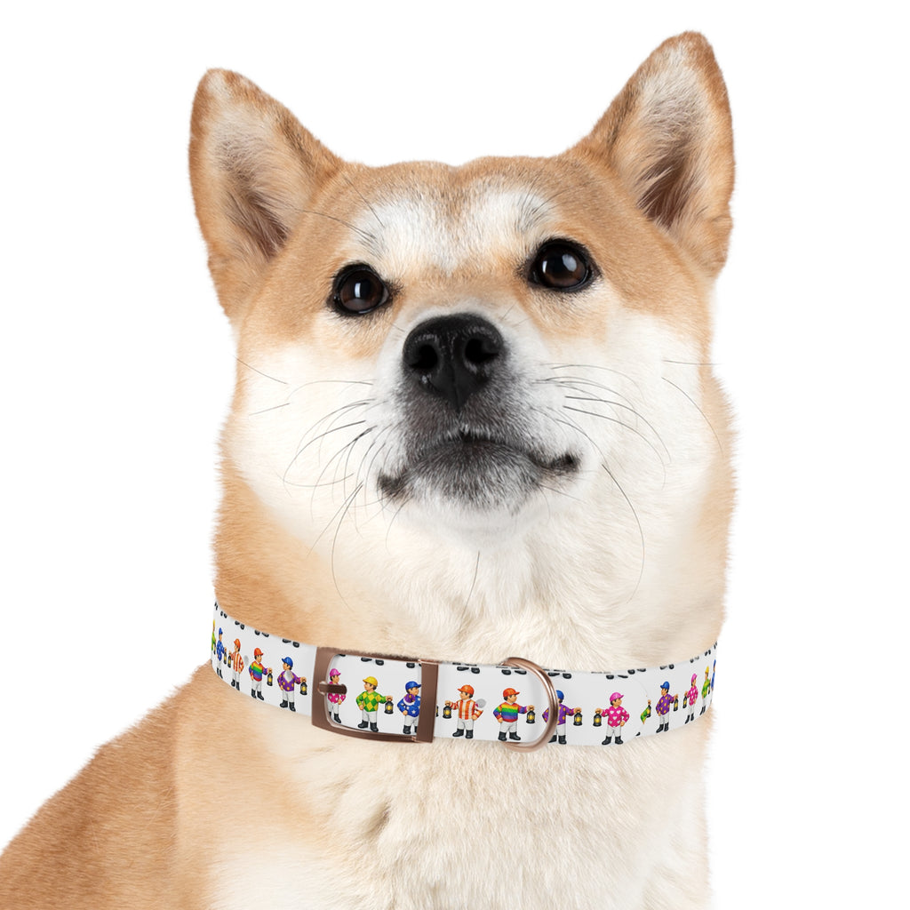 Comical lawn jockey waterproof dog collar