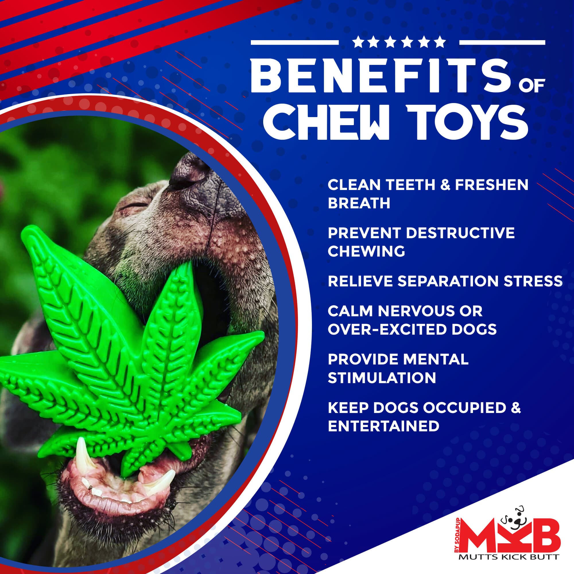 Colorado Maple Leaf eChew Nylon Dog Chew Toy for Aggressive Chewers