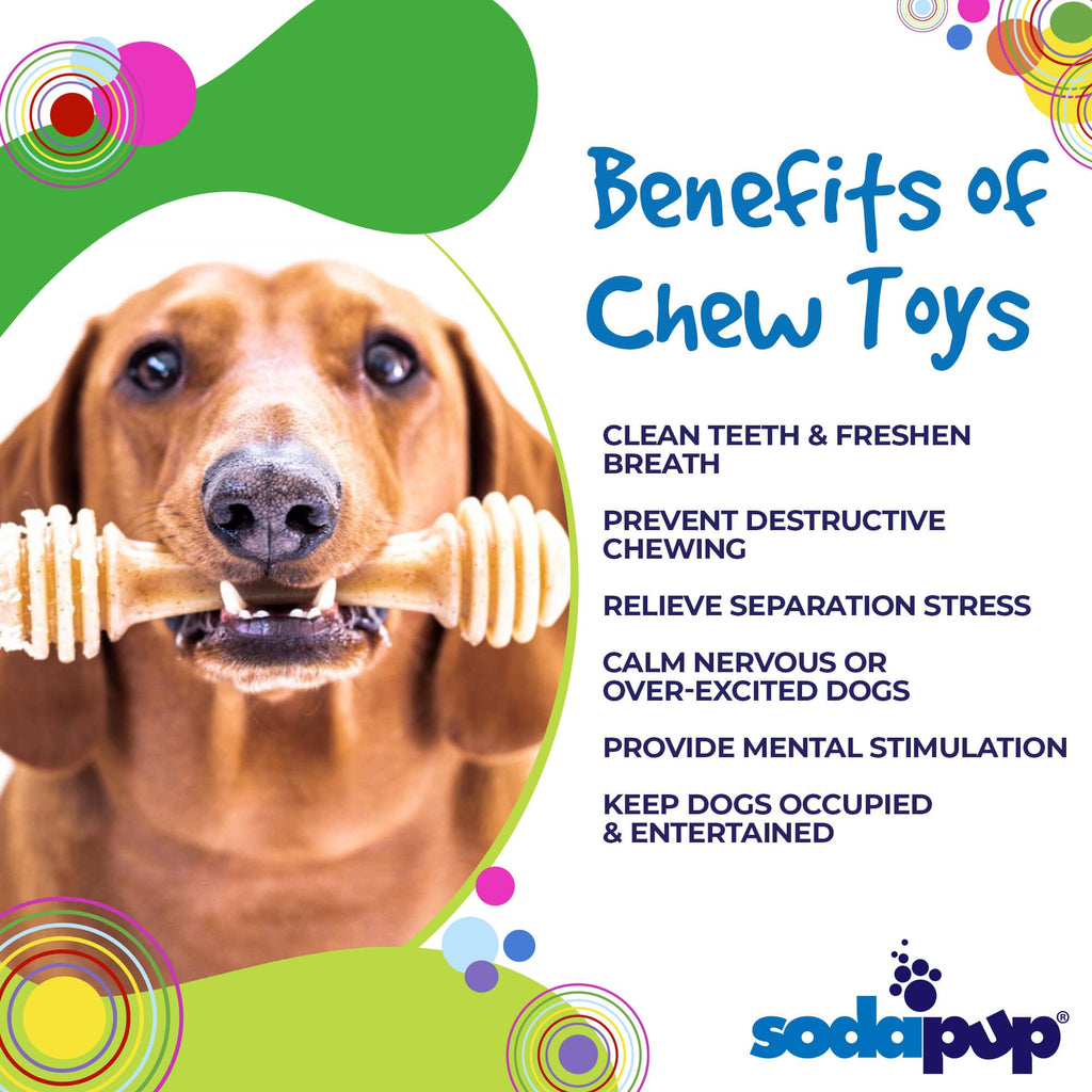 SodaPup Nylon Dog Toy Honey Bone eChew For Aggressive Chewers
