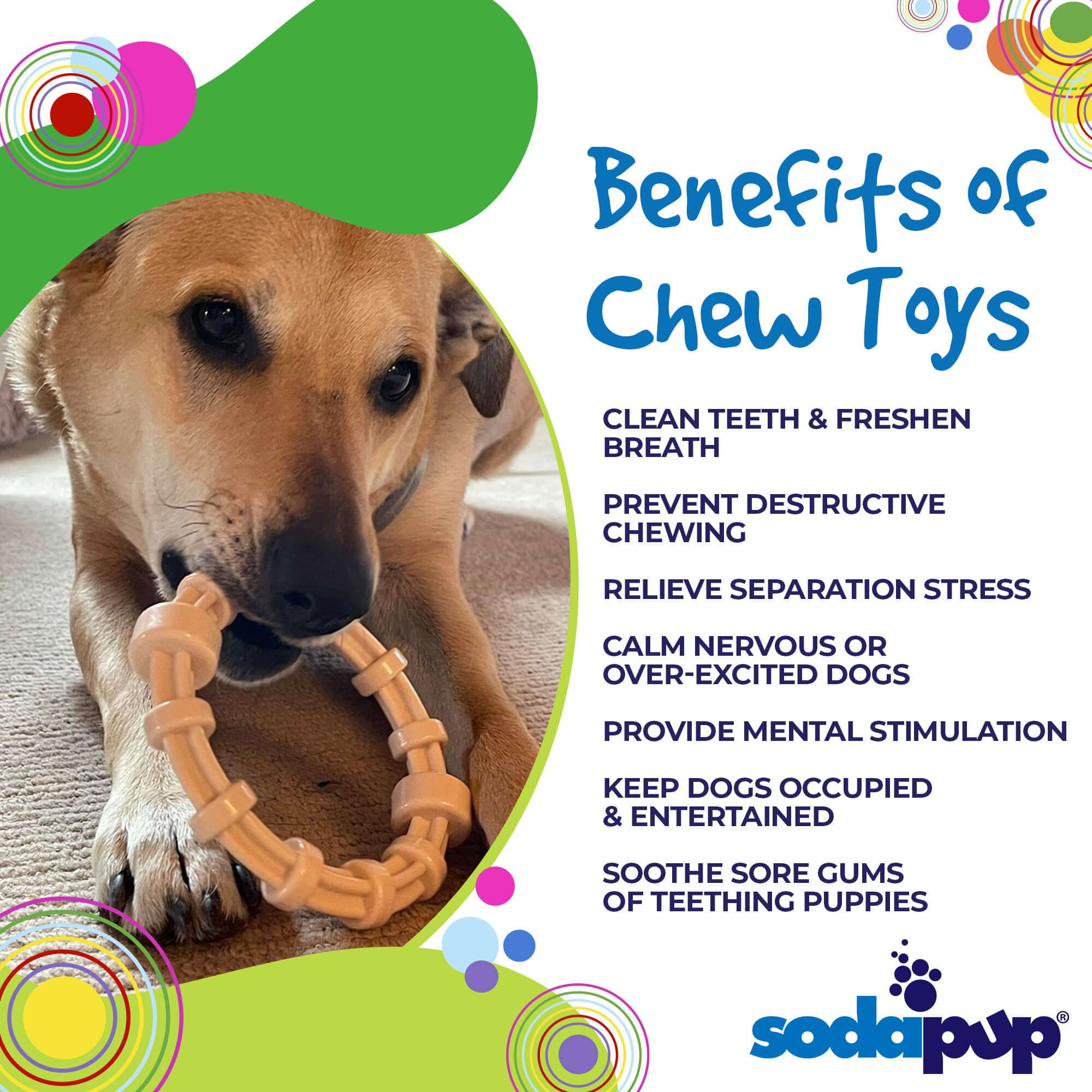 Honey Bone Chicken Flavored Teething Ring For Puppies Hb-Chicken