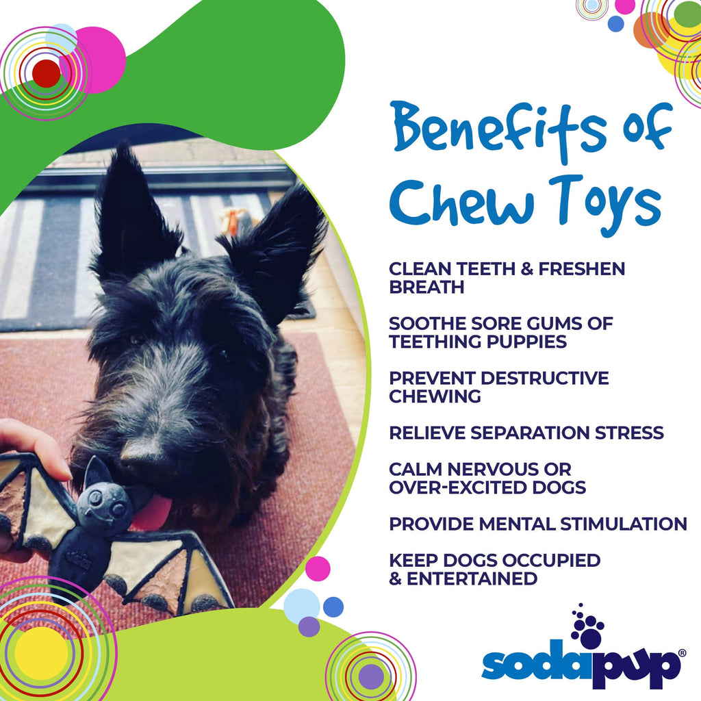 Spooktacular Vampire Bat Nylon Dog Chew Toy For Aggressive Chewers