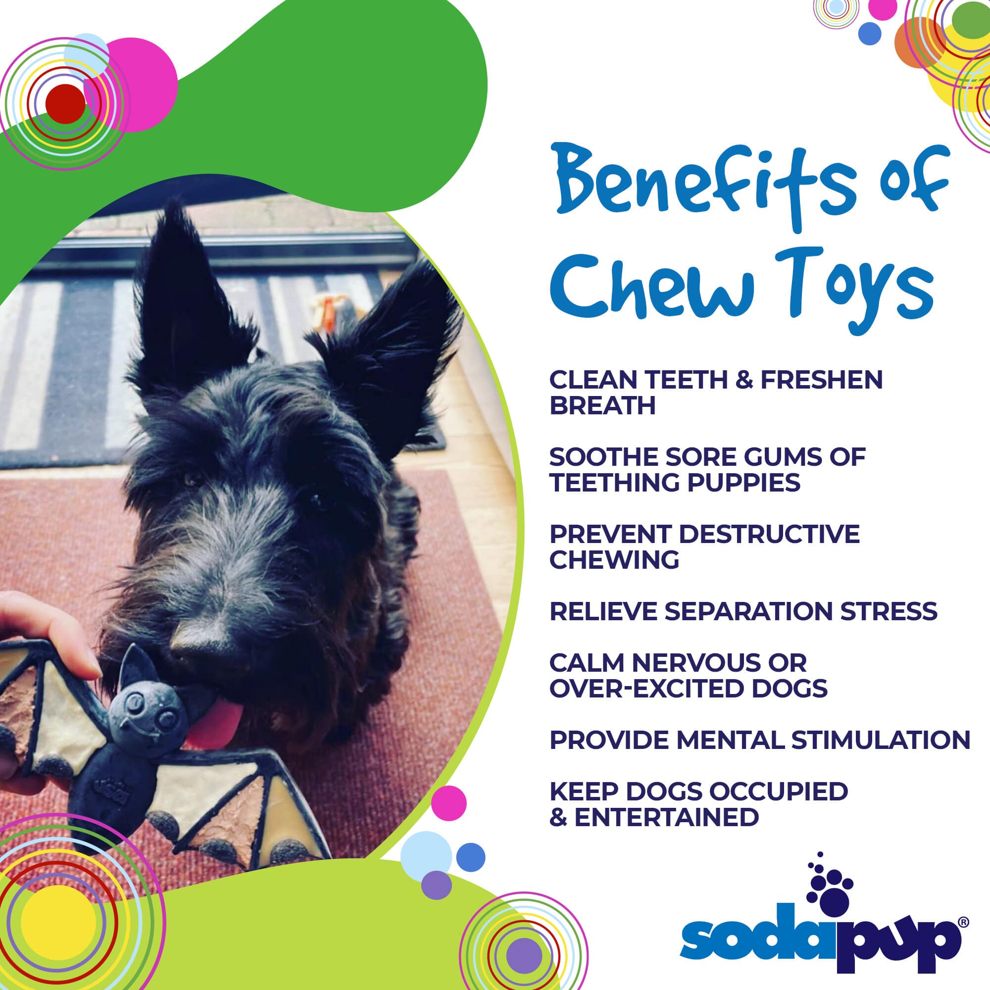 Spooktacular Vampire Bat Nylon Dog Chew Toy For Aggressive Chewers