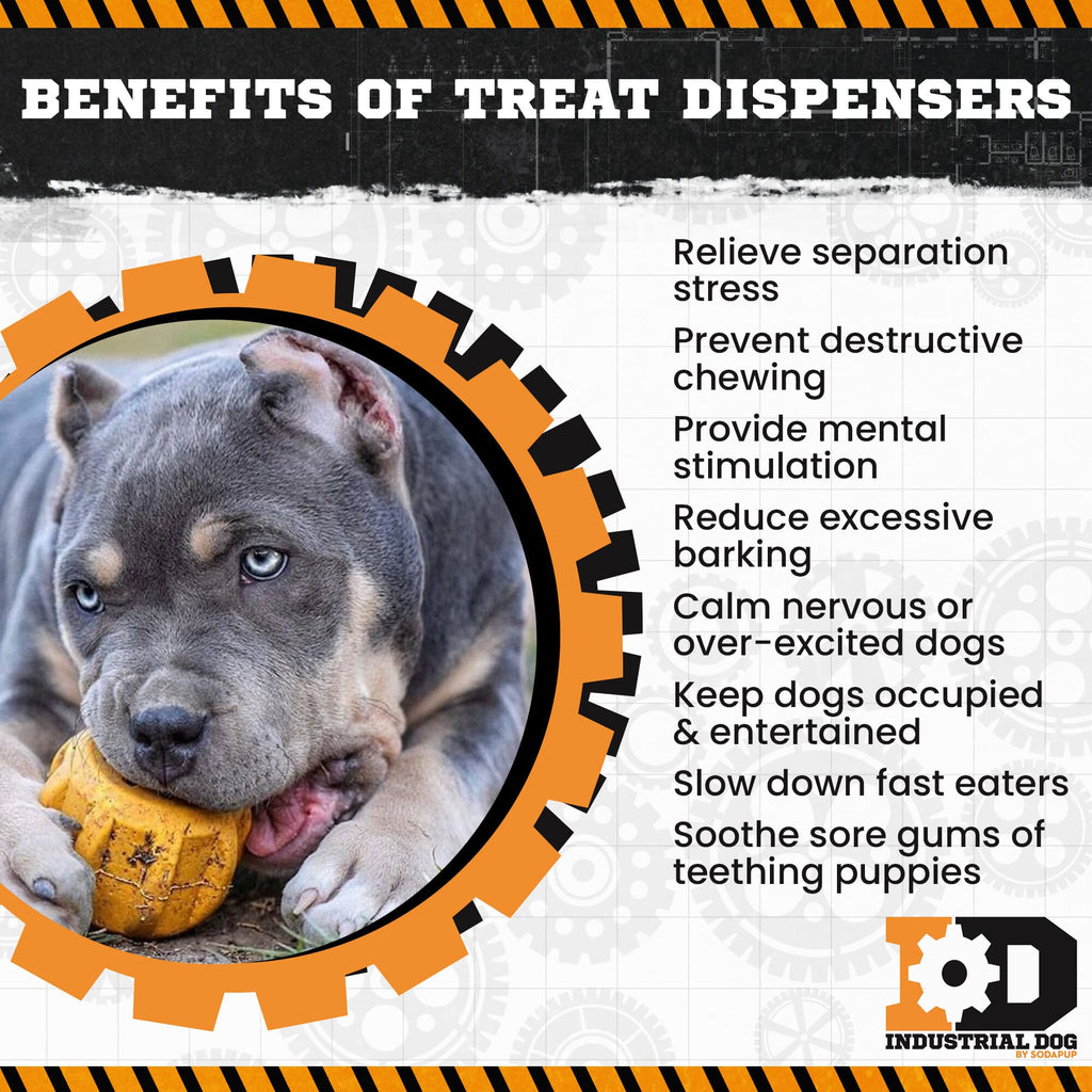 Gear eDispenser Rubber Treat Holder and Chew Toy for Dogs