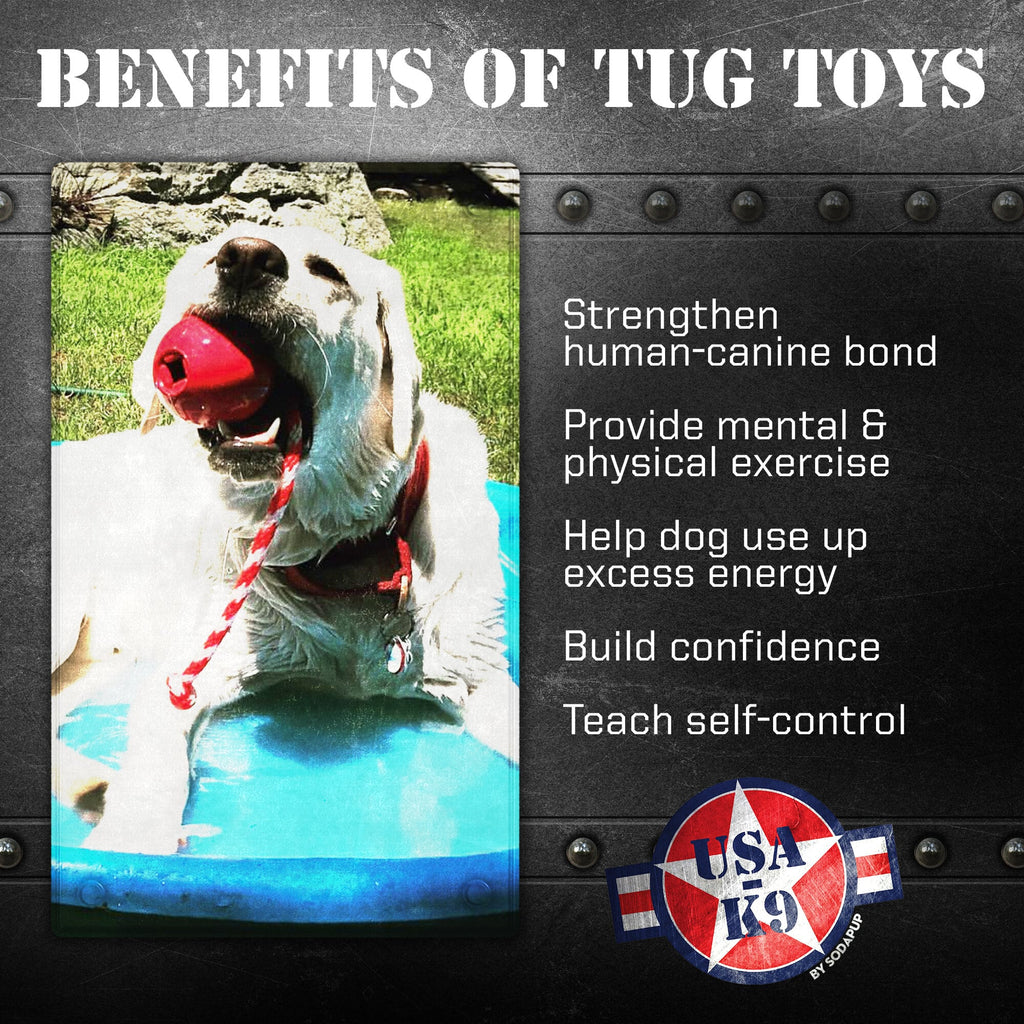 USA-K9 Cherry Bomb Rubber Dog Chew Toy For Heavy Chewers