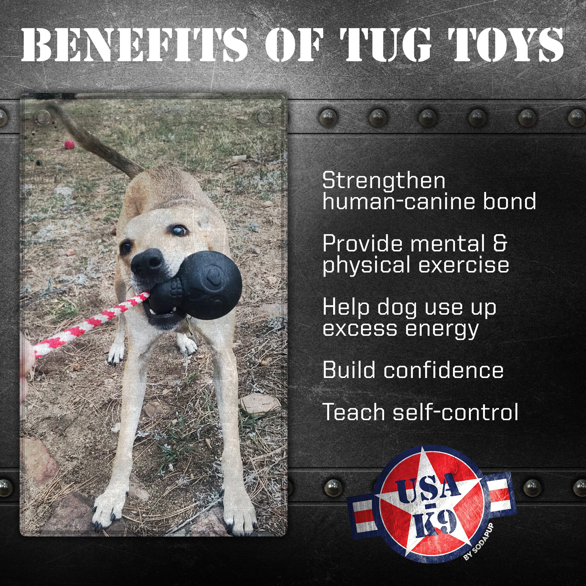 USA-K9 Magnum Skull Black Rubber Chew Toy for Extreme Chewers