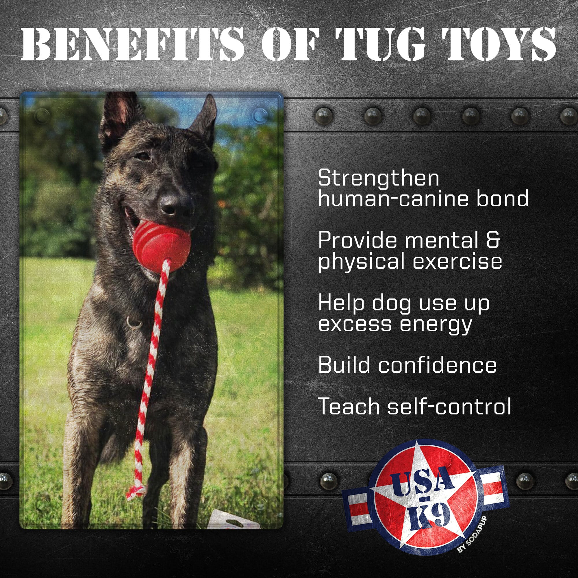 USA-K9 Stars and Stripes Rubber Dog Toy Chew Toy for Heavy Chewers