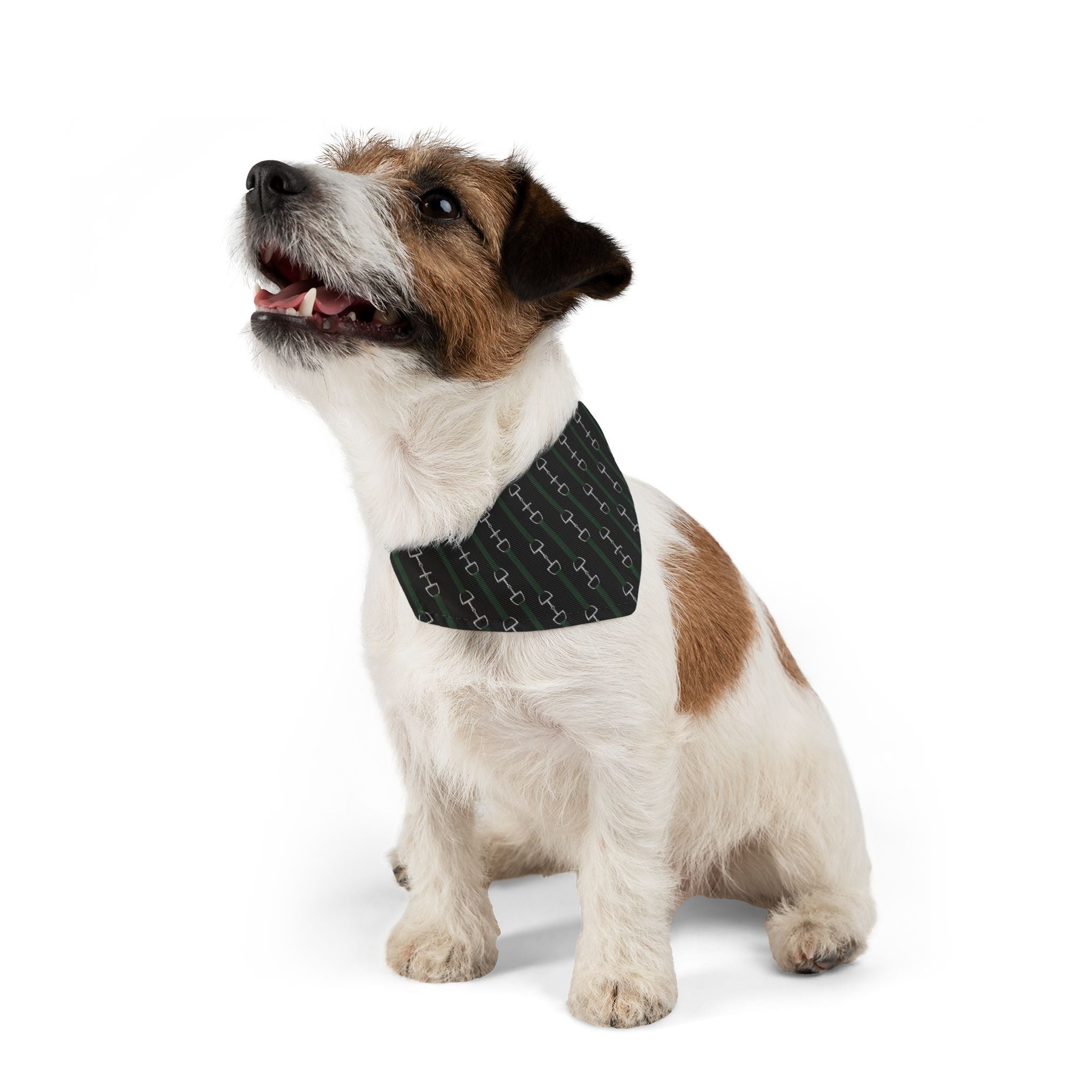 Pet Bandana Collar — Hunter Green Webbed Look Straps With Silver Horsebit Motif Pattern Dog Bandana Collar