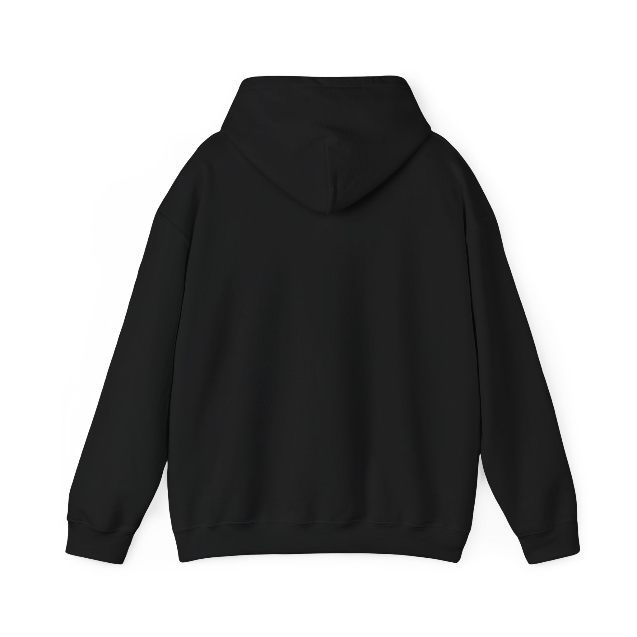 See You at the Finish Line Hoodie | Racing Horse Meme, Race Day Humor