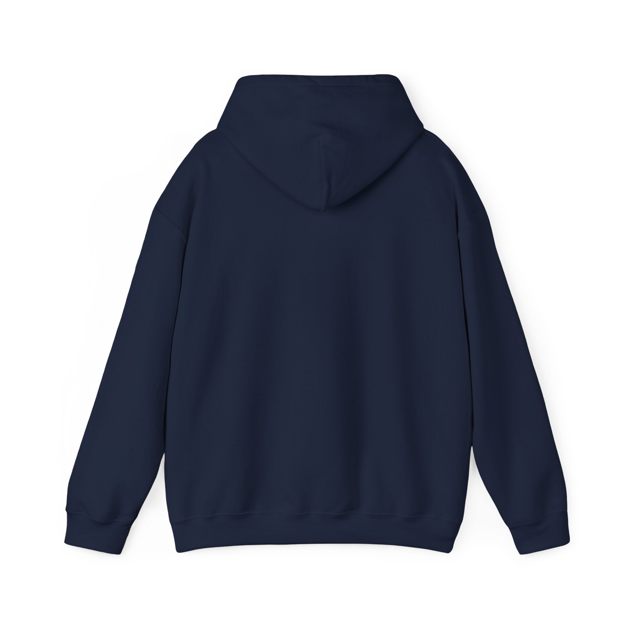 Racing Silly Horse Paddock Pass Hoodie | Meme Race-Day Fan Apparel