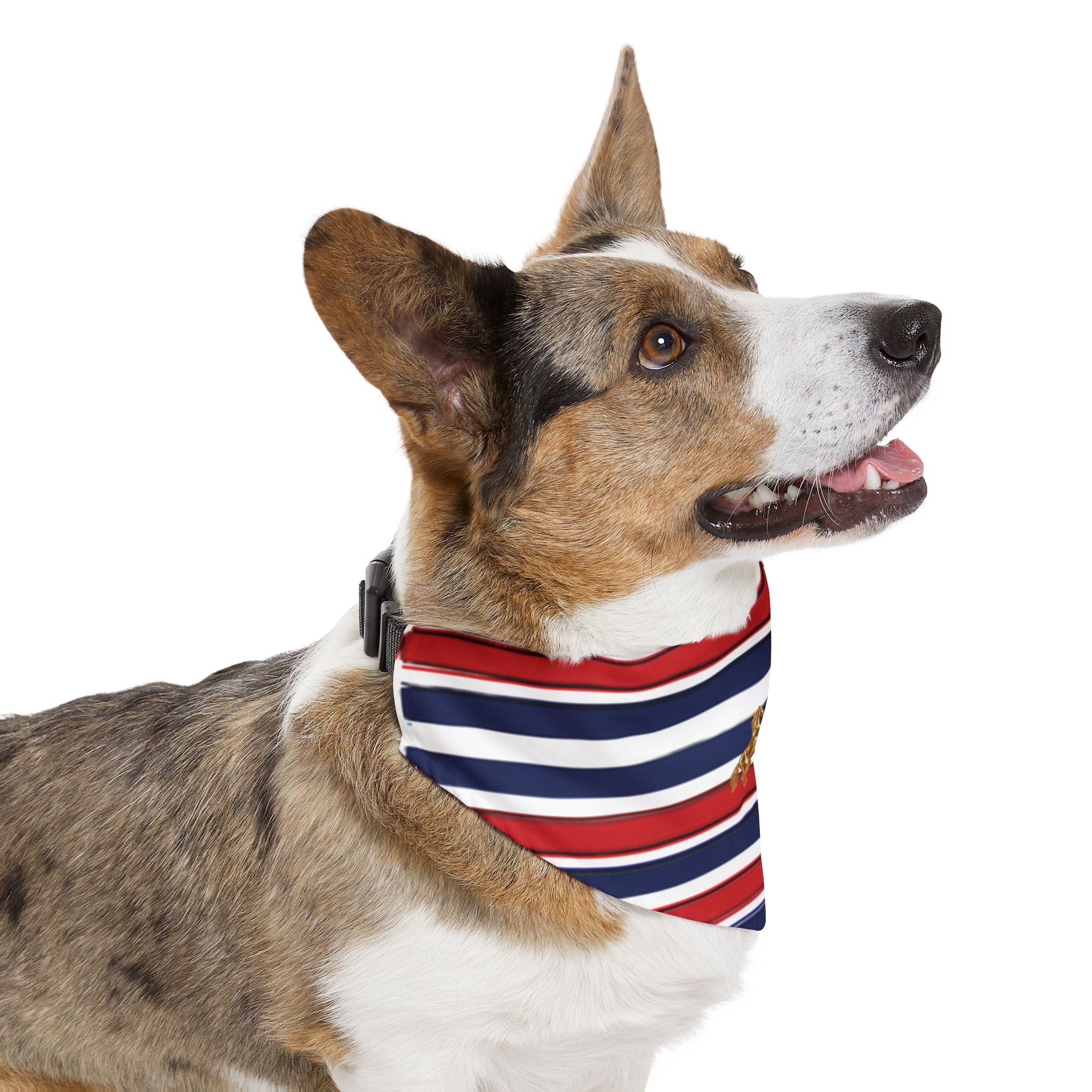 Striped Dog Bandana Collar with Gold Rearing Horses Motif — Nautical Red, White & Blue Pet Accessory