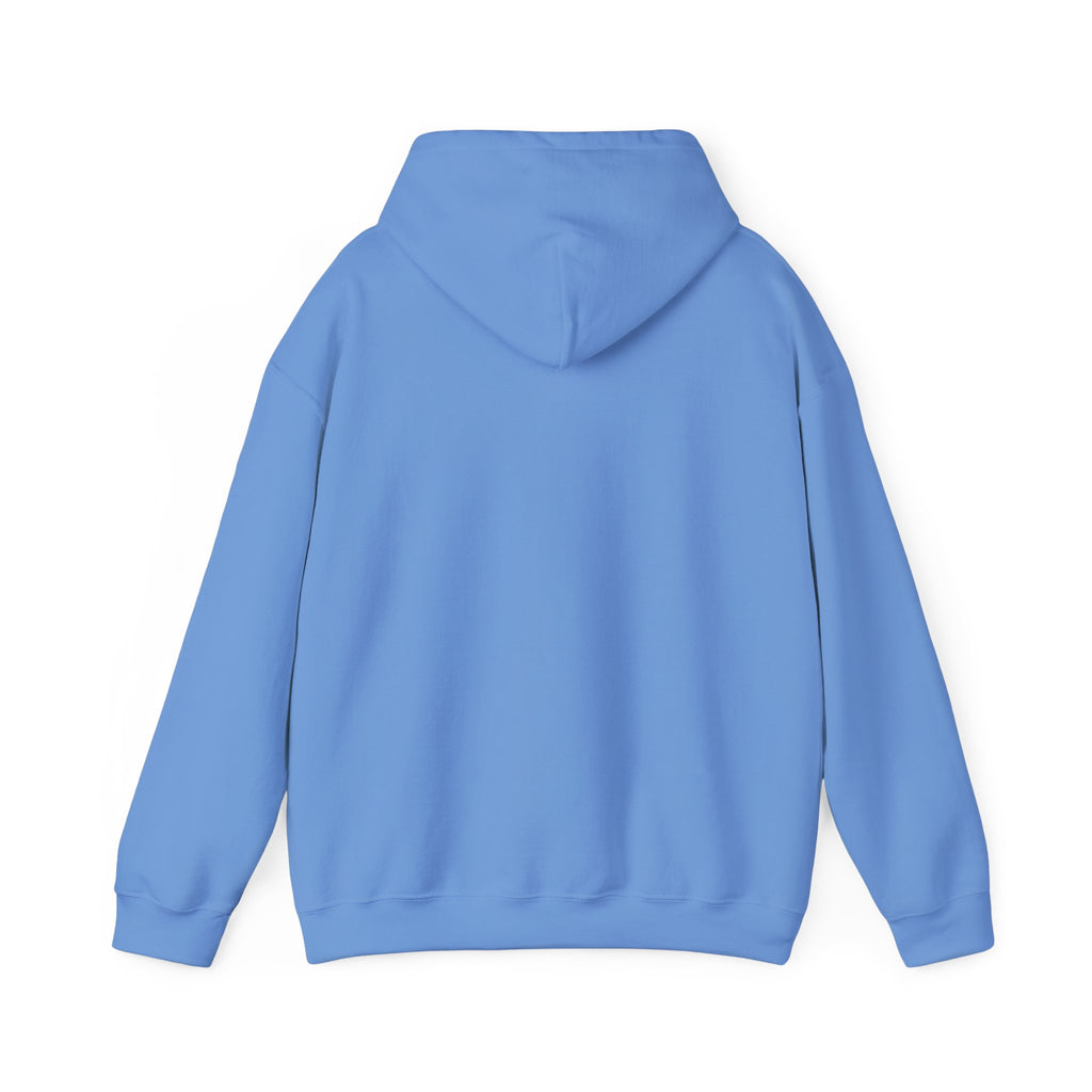 Feral but Free hoodie | Witty self-deprecating mental exhaustion sweatshirt