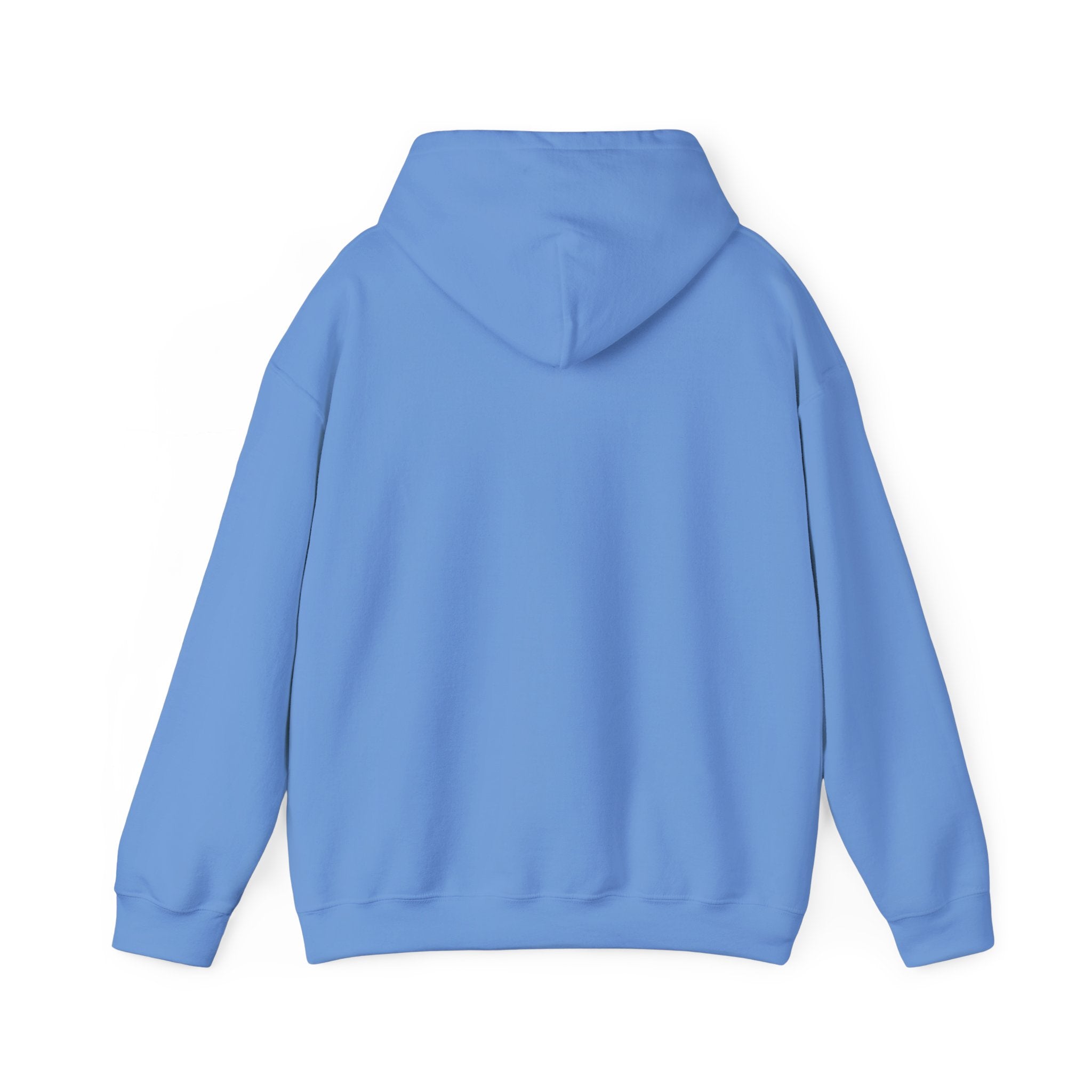 Feral but Free hoodie | Witty self-deprecating mental exhaustion sweatshirt