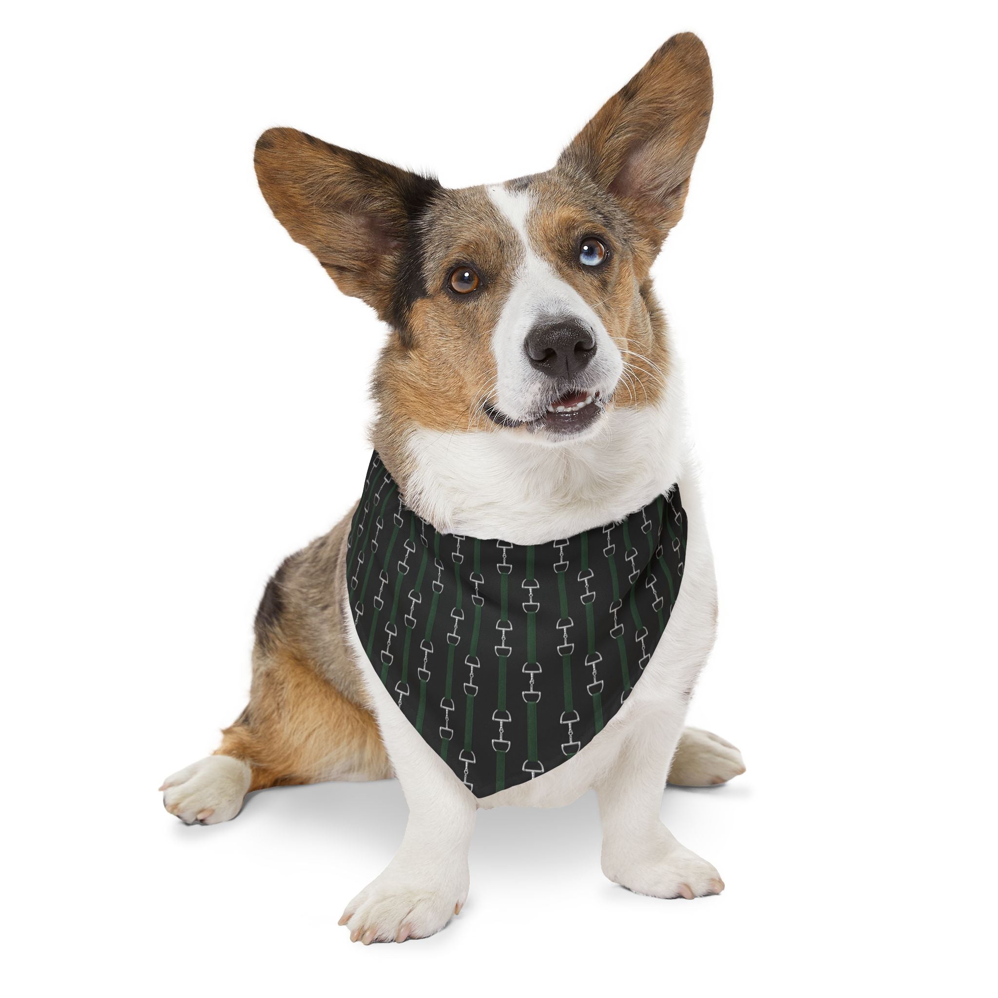 Pet Bandana Collar — Hunter Green Webbed Look Straps With Silver Horsebit Motif Pattern Dog Bandana Collar