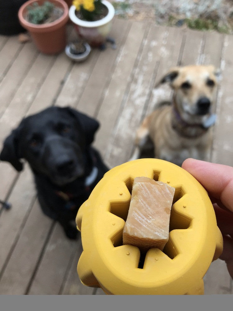 Gear eDispenser Rubber Treat Holder and Chew Toy for Dogs