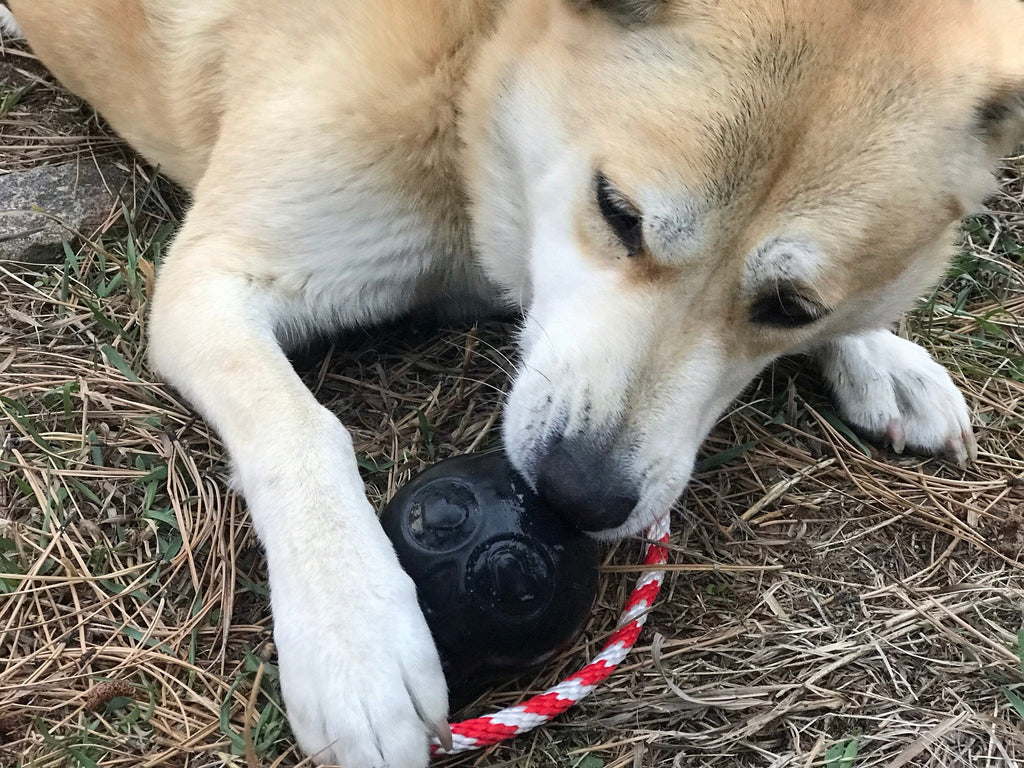 SodaPup Usa-K9 Skull Dog Chew Toy And Treat Dispenser