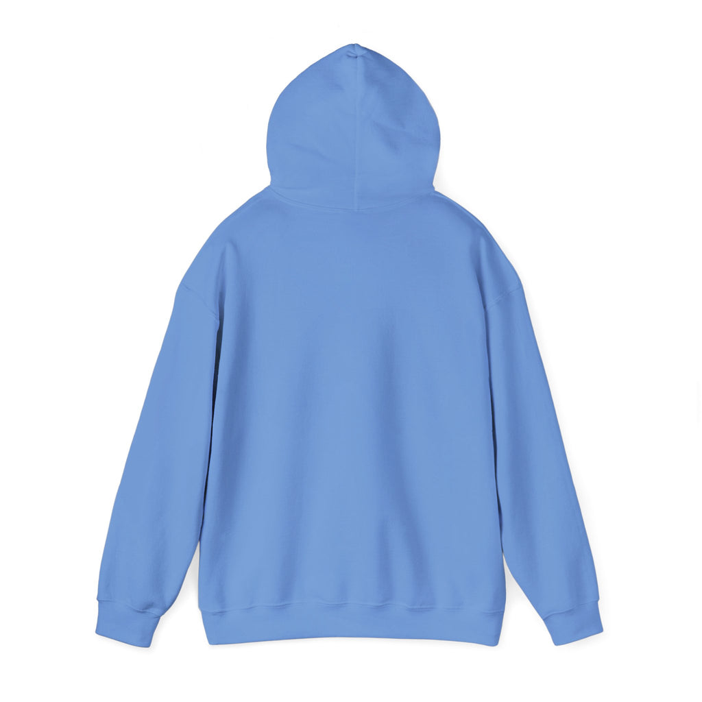 Feral but Free hoodie | Witty self-deprecating mental exhaustion sweatshirt