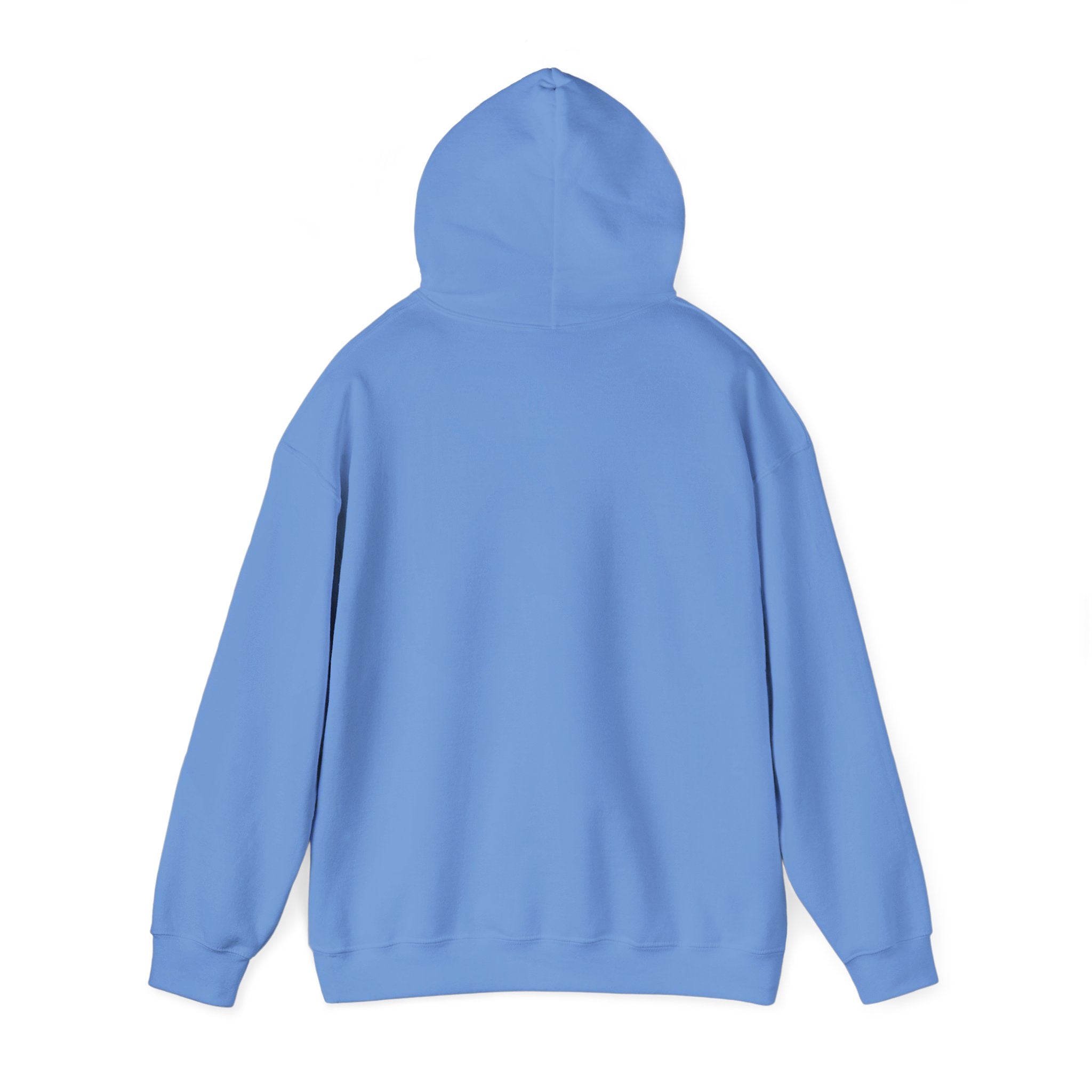 Feral but Free hoodie | Witty self-deprecating mental exhaustion sweatshirt