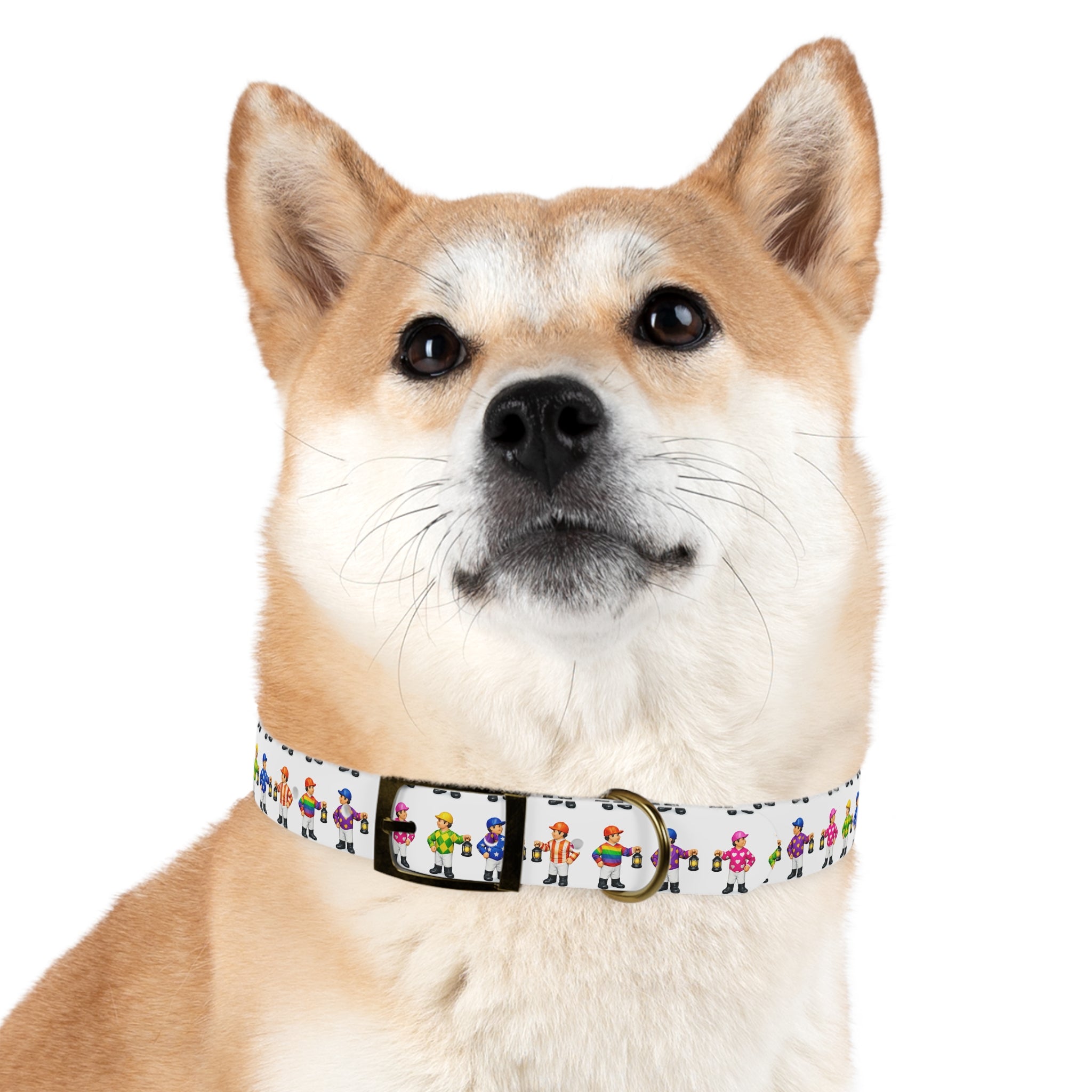 Comical lawn jockey waterproof dog collar