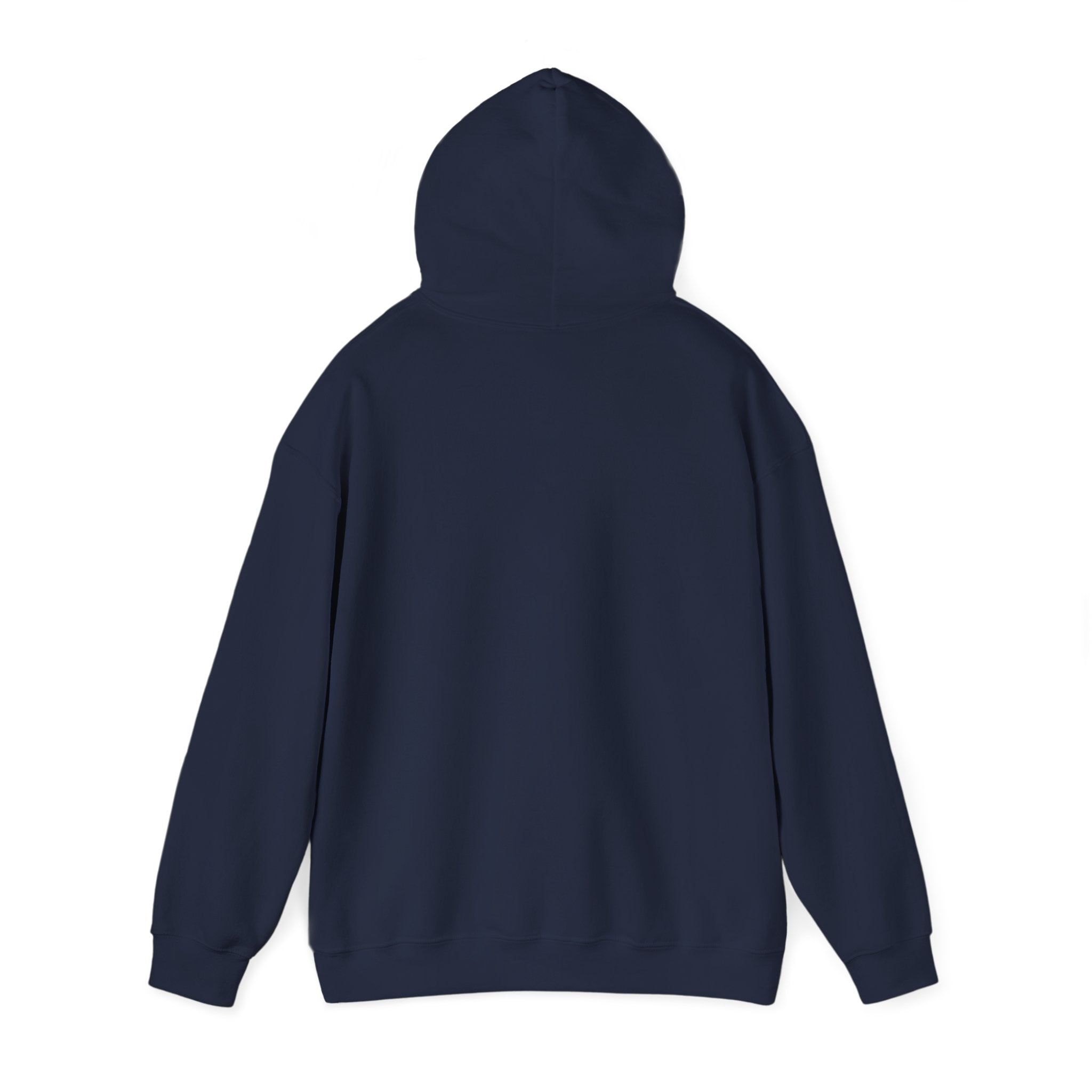 Racing Silly Horse Paddock Pass Hoodie | Meme Race-Day Fan Apparel