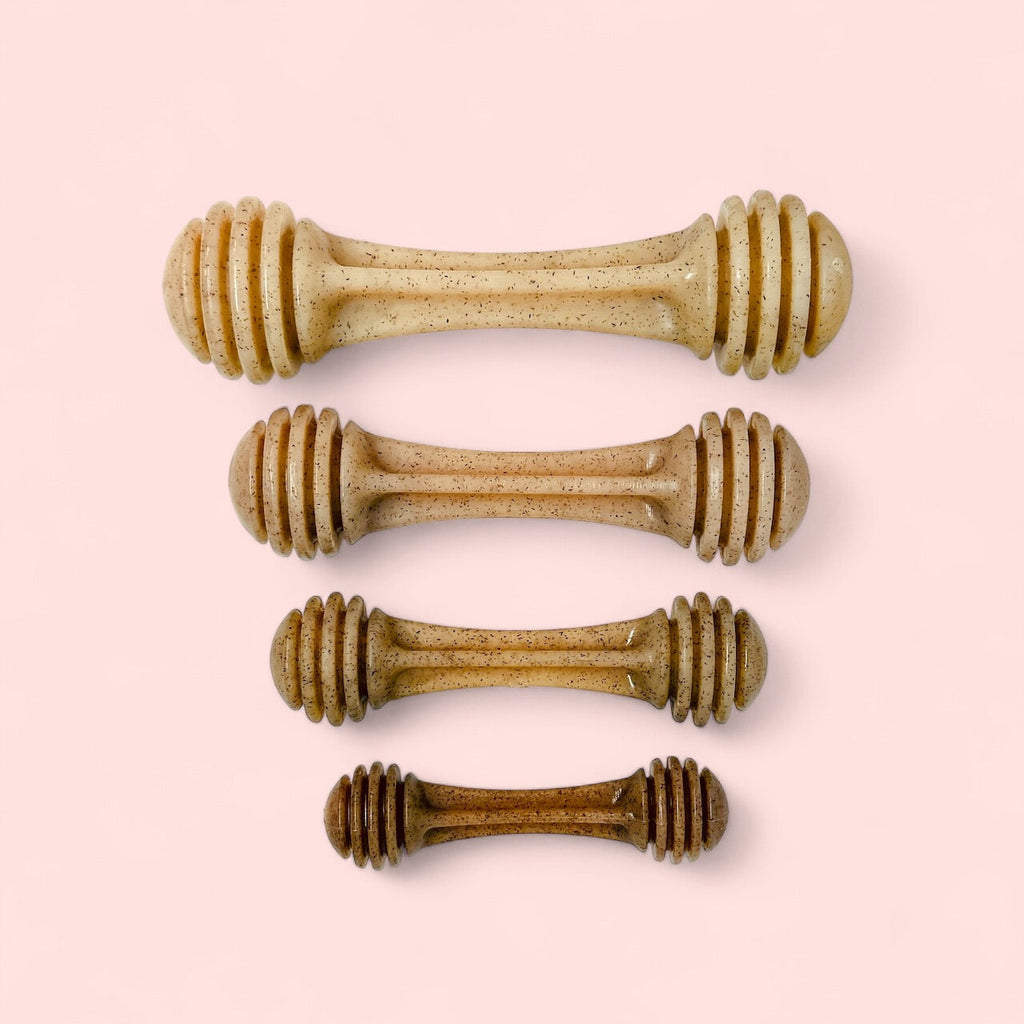 SodaPup Nylon Dog Toy Honey Bone eChew For Aggressive Chewers