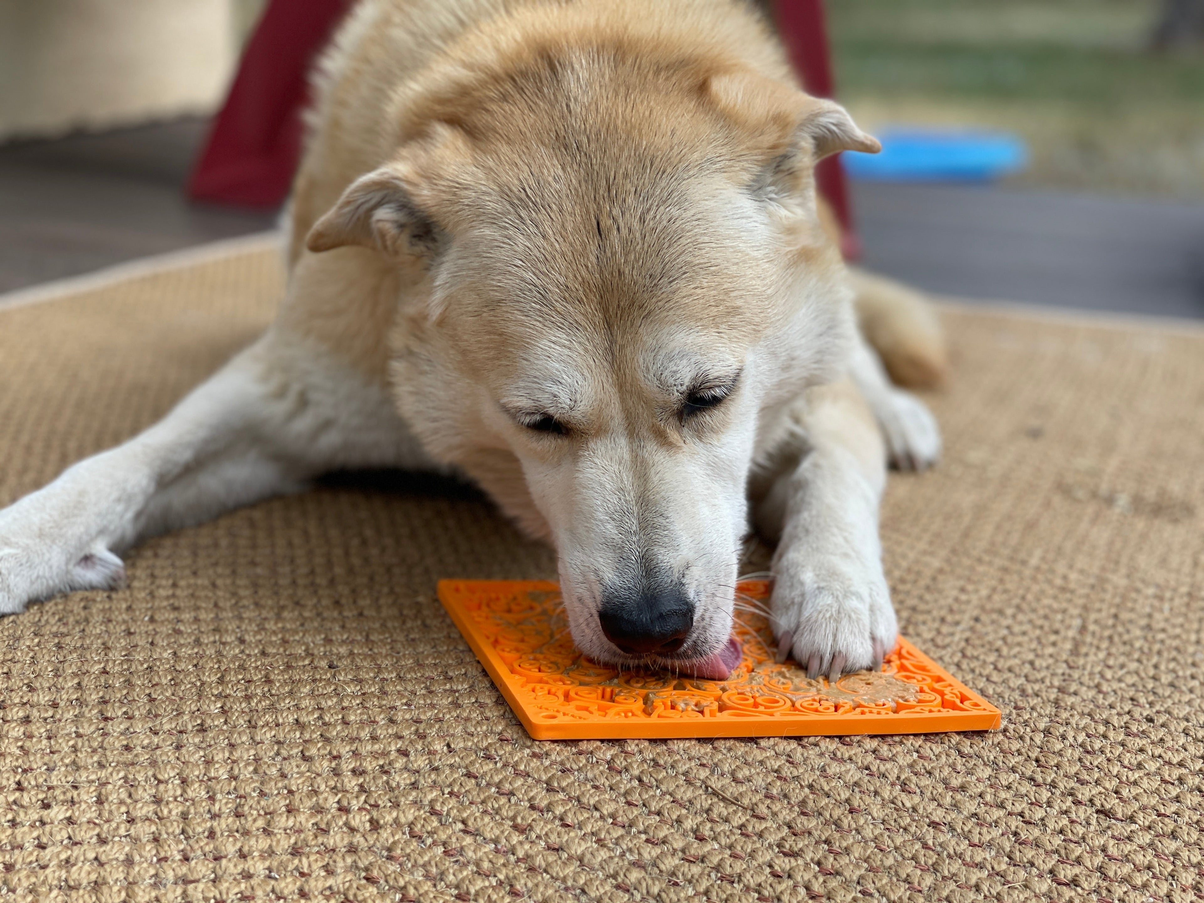 SodaPup Zombie eMat Enrichment Lick Mat for Dogs and Cats