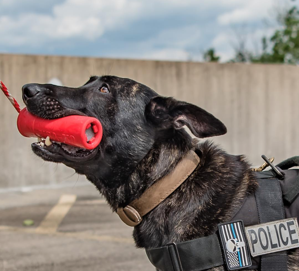 USA-K9 Firecracker Floating Training Dummy For K9 Handling Red
