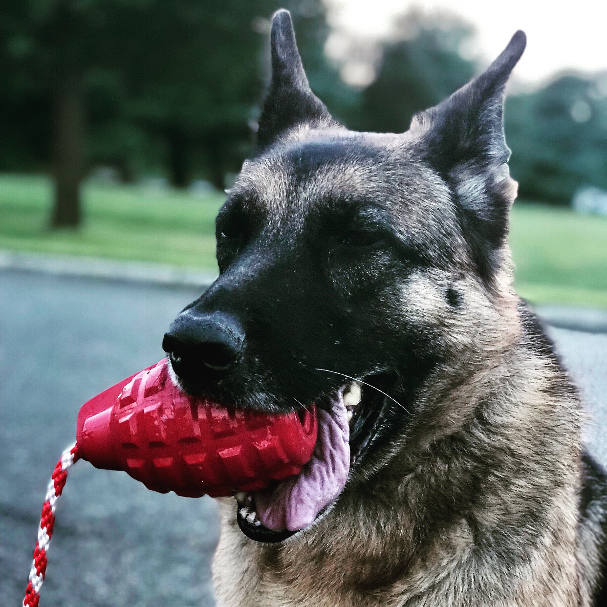USA-K9 Grenade Rubber Dog Chew Toy For Heavy Chewers