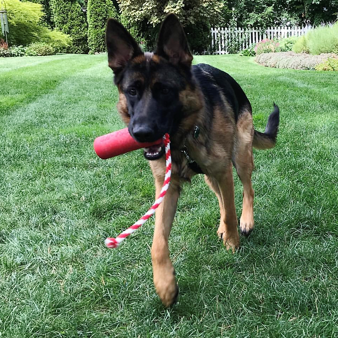 USA-K9 Firecracker Floating Training Dummy For K9 Handling Red