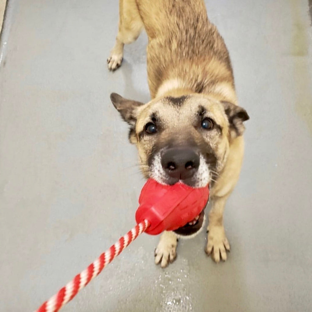 USA-K9 Grenade Rubber Dog Chew Toy For Heavy Chewers