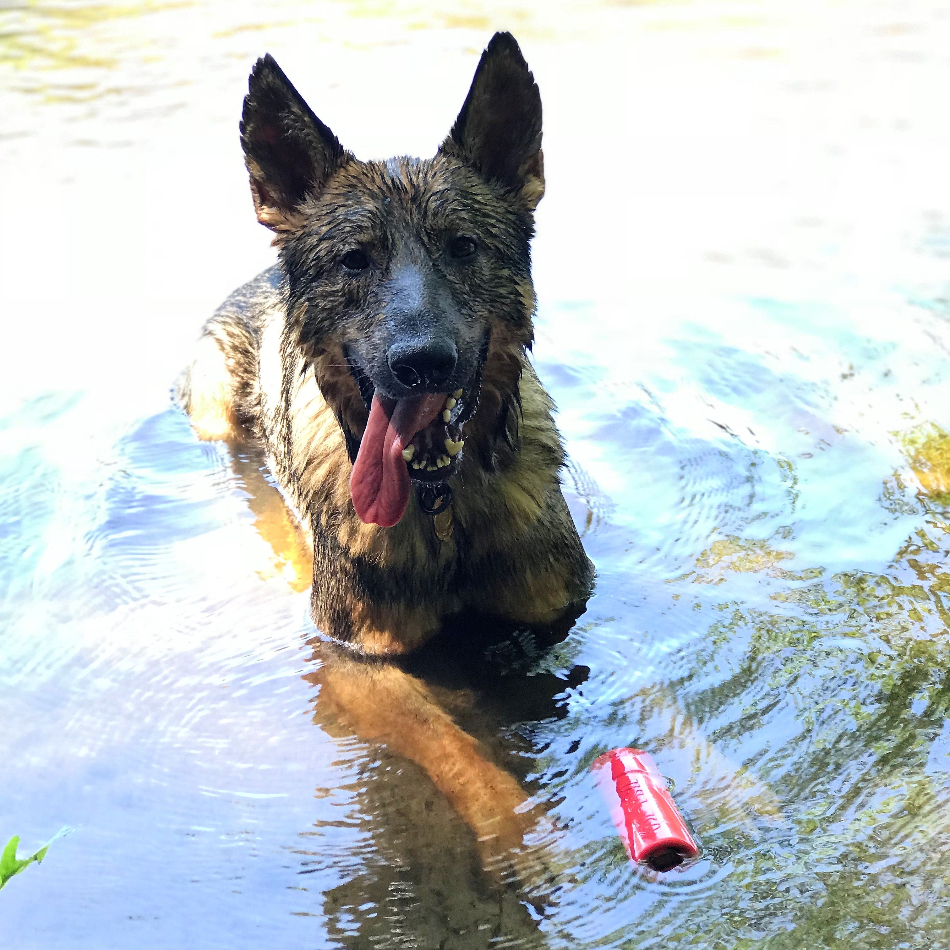 USA-K9 Firecracker Floating Training Dummy For K9 Handling Red