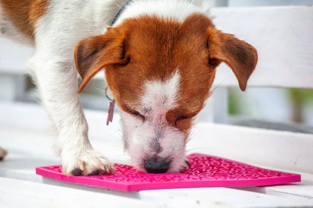 SodaPup Flower Power eMat Enrichment Lick Mat for Dogs and Cats