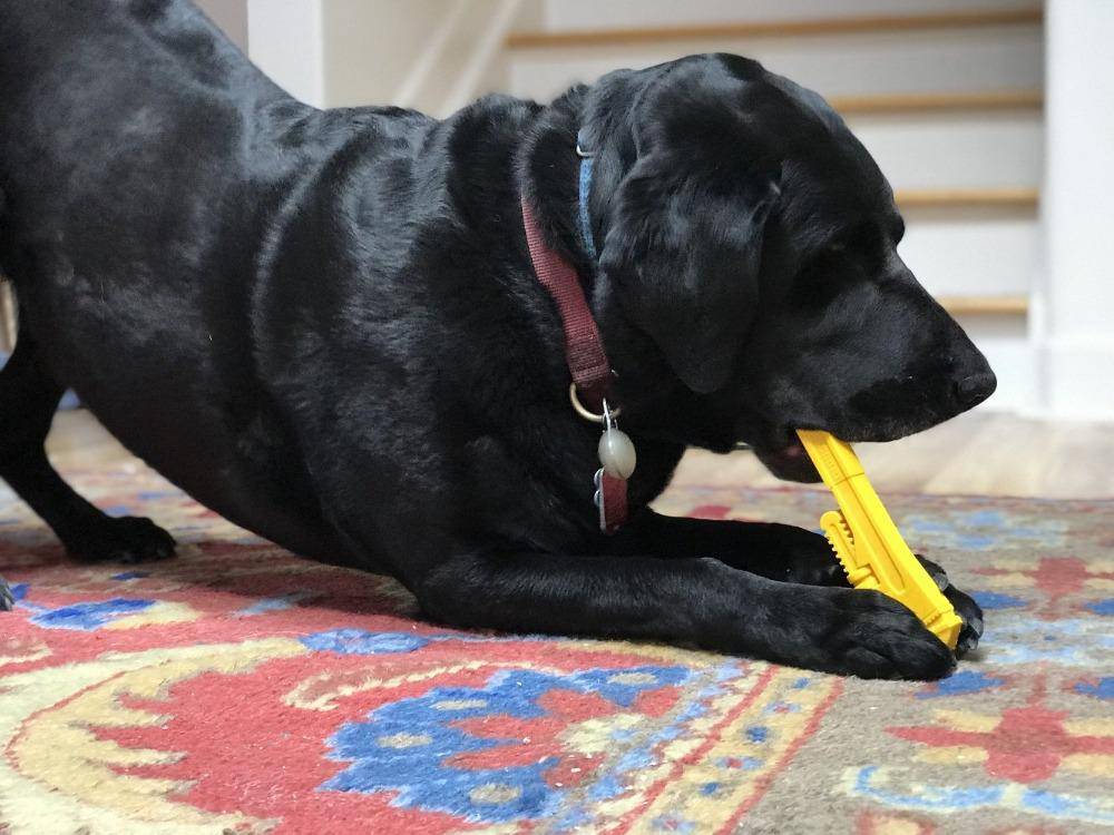 SodaPup Pipe Wrench Nylon Dog Toy For Aggressive Chewers
