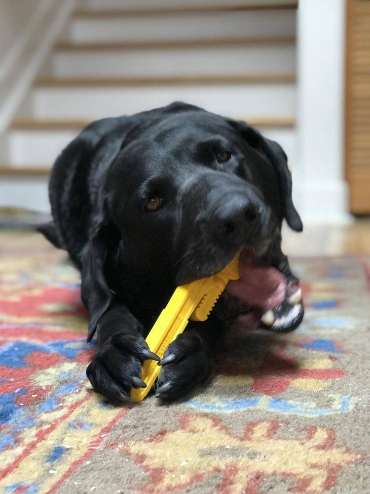 SodaPup Pipe Wrench Nylon Dog Toy For Aggressive Chewers