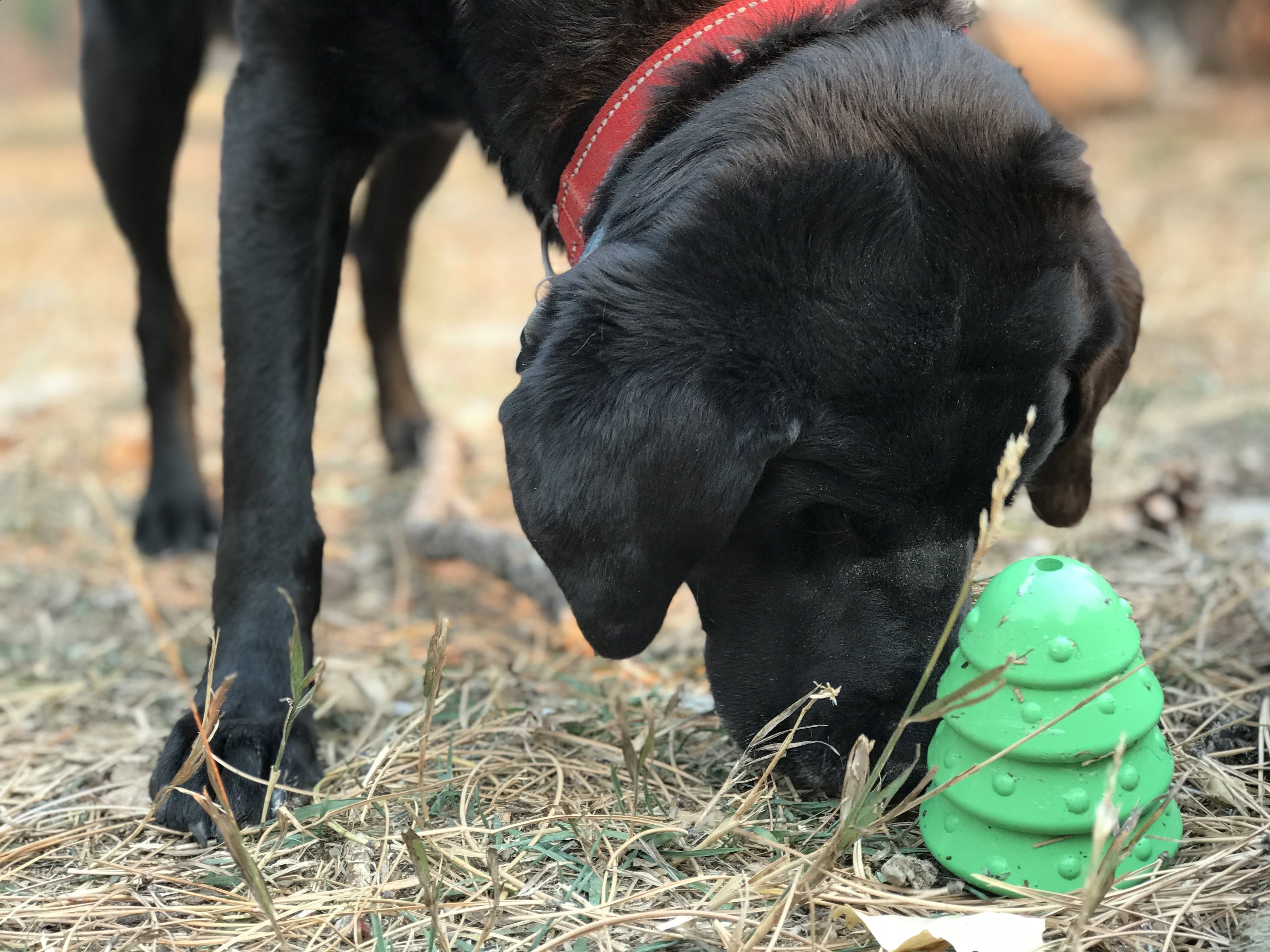 Christmas Tree EDispenser Rubber Chew Toy For Large Dogs Model EDispenser