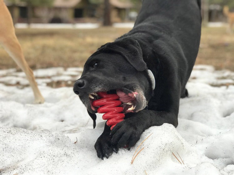 Christmas Tree Nylon Dog Chew Toy For Chewers American Made FDA Compliant