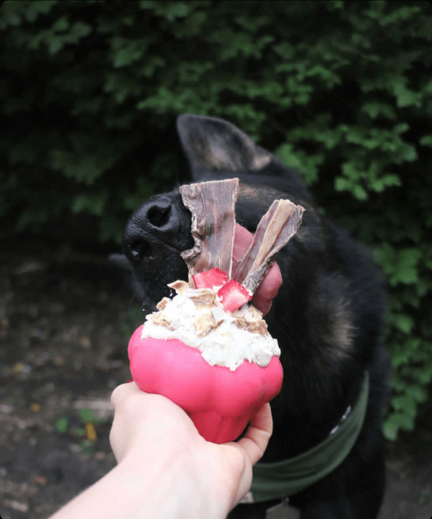 Cupcake eDispenser Durable Rubber Chew Toy and Treat Dispenser for Dogs