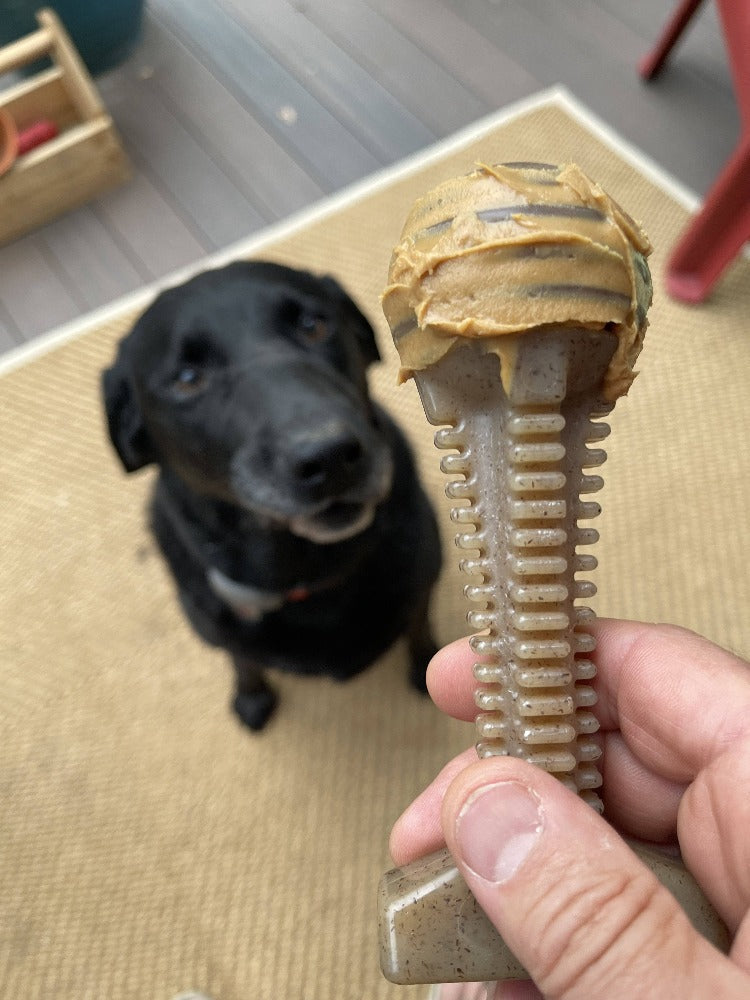 Honey Bone Dental Tower Nylon Chew Toy For Aggressive Chewers